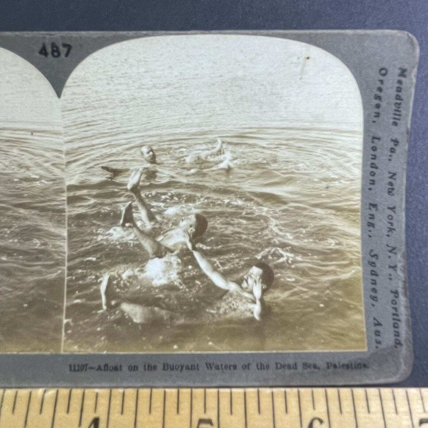 Antique 1900 Skinny Dipping In The Dead Sea Stereoview Photo Card P2223