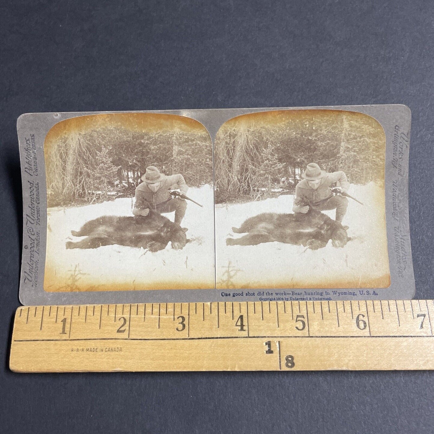 Antique 1904 Hunter Shoots A Black Bear In Wyoming Stereoview Photo Card P4820