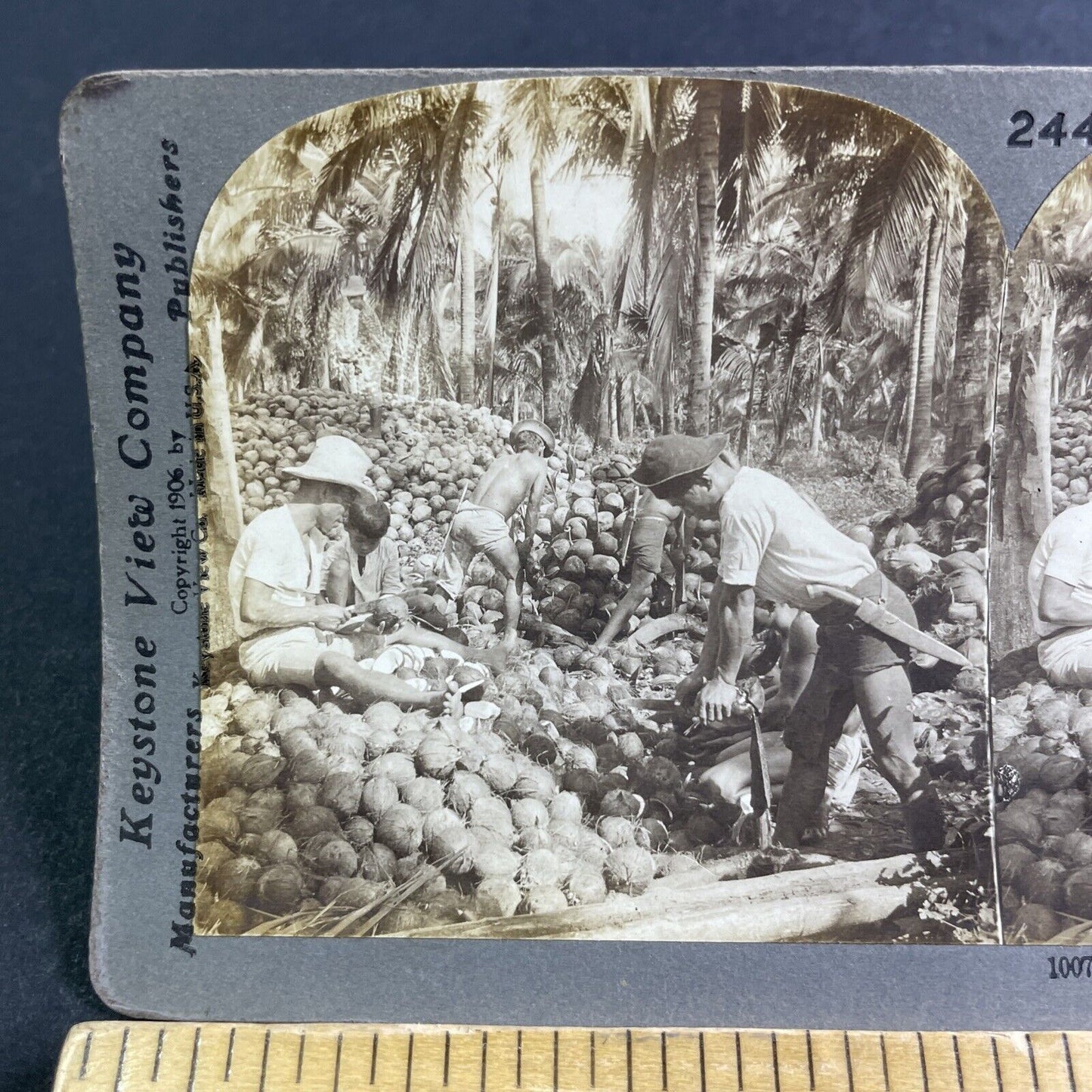 Antique 1906 Coconut Grove Pagsanjan Philippines Stereoview Photo Card P2188
