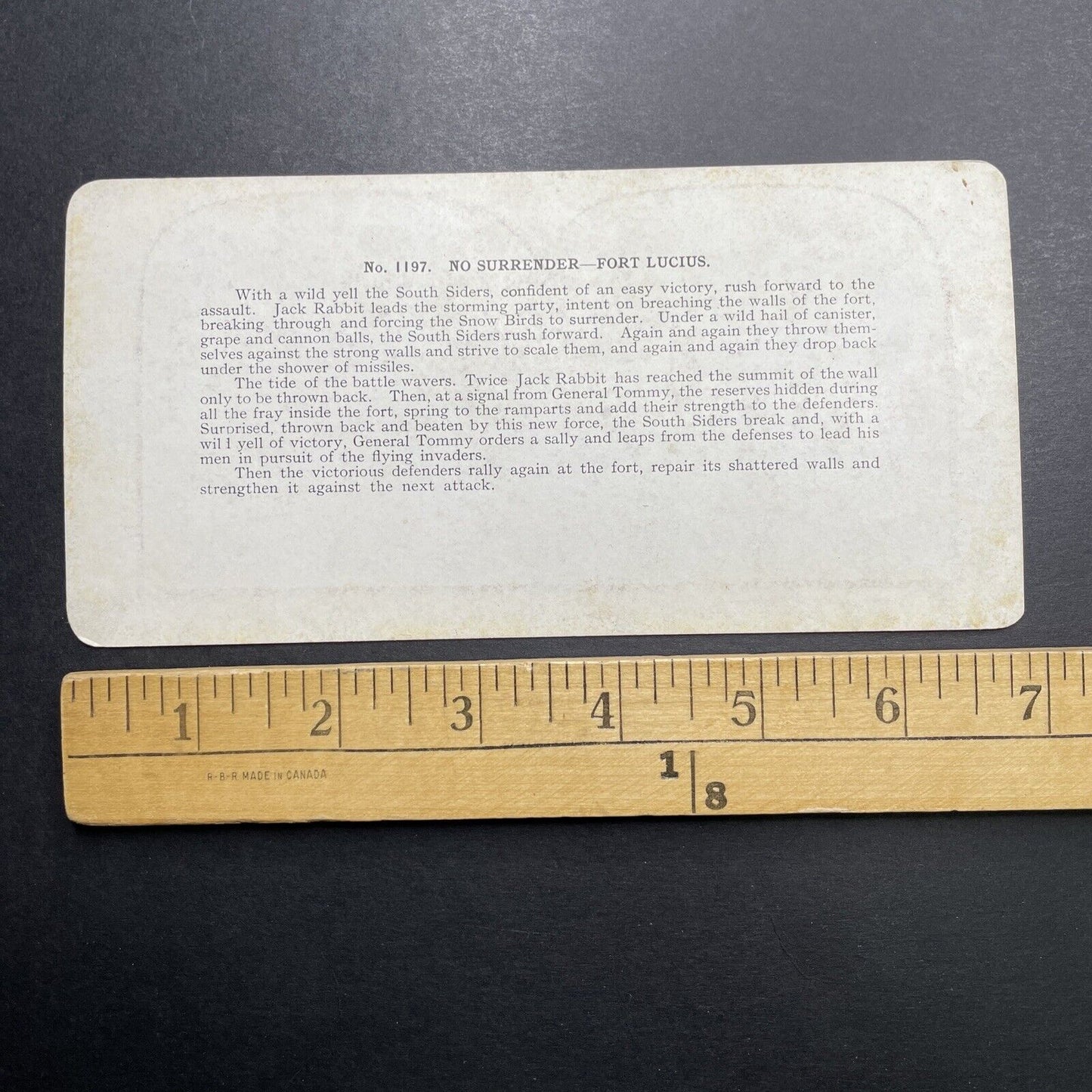 Antique 1892 Children On Top Of A Snow Fort Stereoview Photo Card P1227