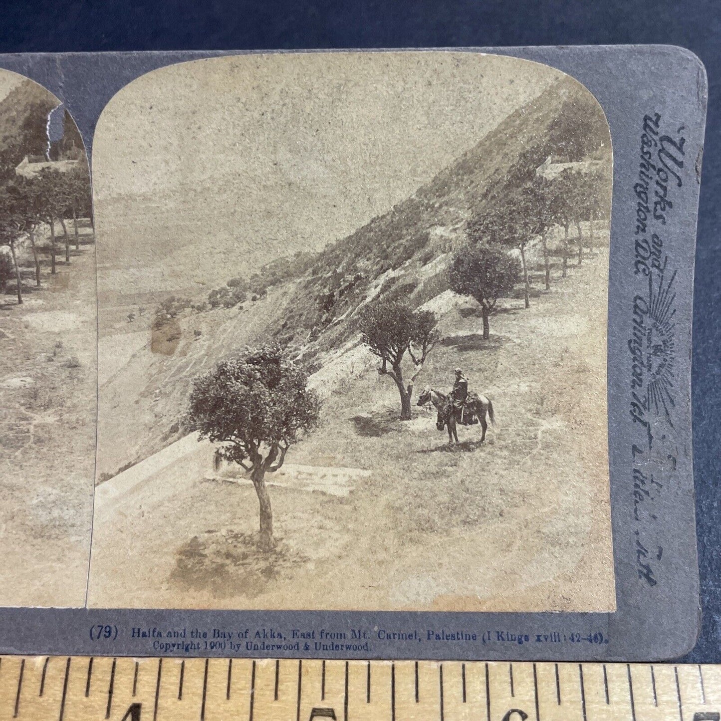 Antique 1900 Arab Desert Warrior On Horseback Stereoview Photo Card P4207