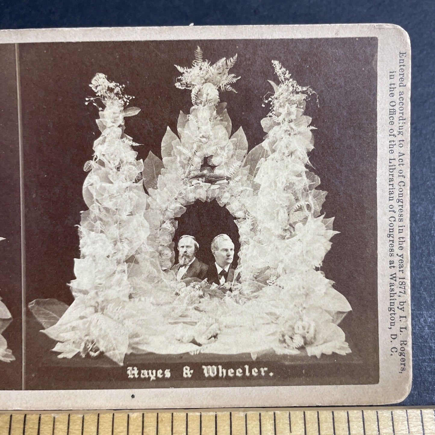Antique 1877 William Almon Wheeler Flower Arrangement Stereoview Photo Card 4639