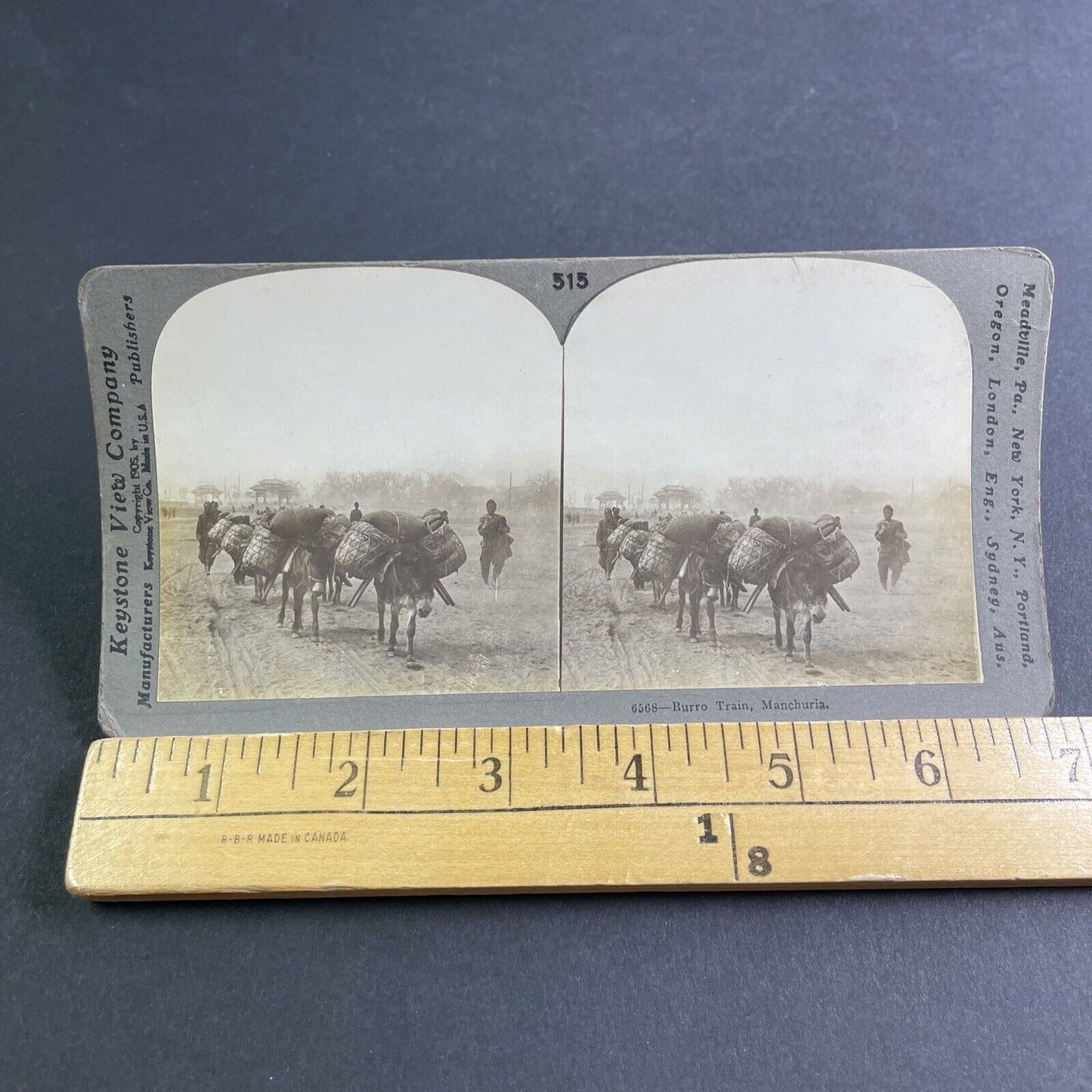 Antique 1905 Donkeys Hauling Rice In China Stereoview Photo Card P2164