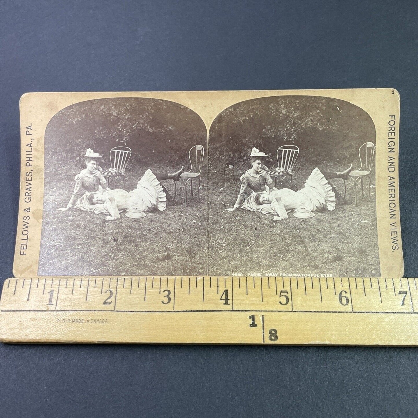 Antique 1880s Women In Paris Cuddle In Public Park Stereoview Photo Card P3351