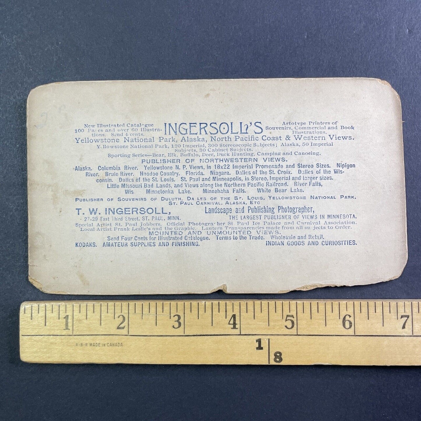 McCartney's Hotel Mammoth Hot Springs Stereoview T.W. Ingersoll c1888 Y170