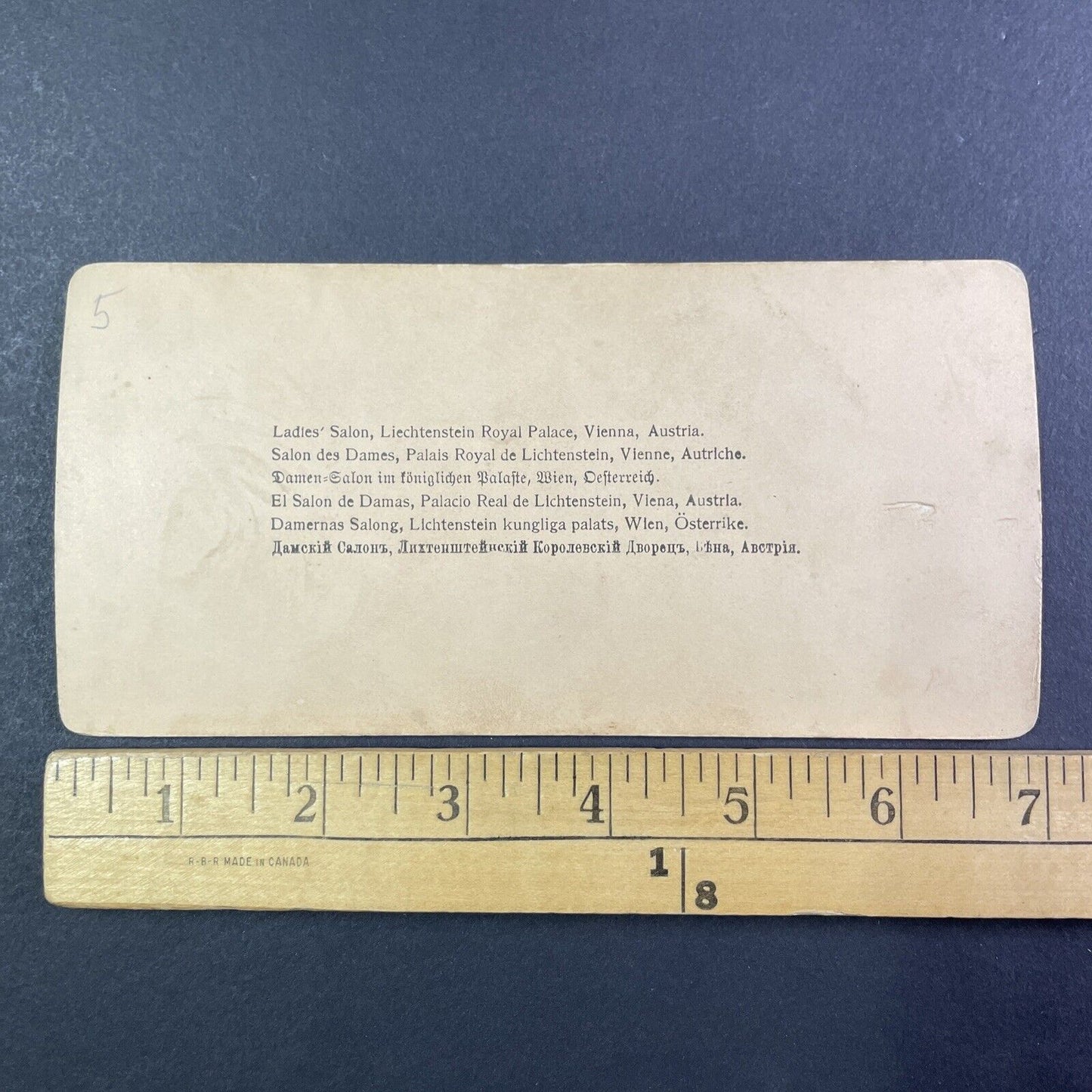 Lady's Salon Liechtenstein Palace Vienna Austria Stereoview Antique c1898 Y1379