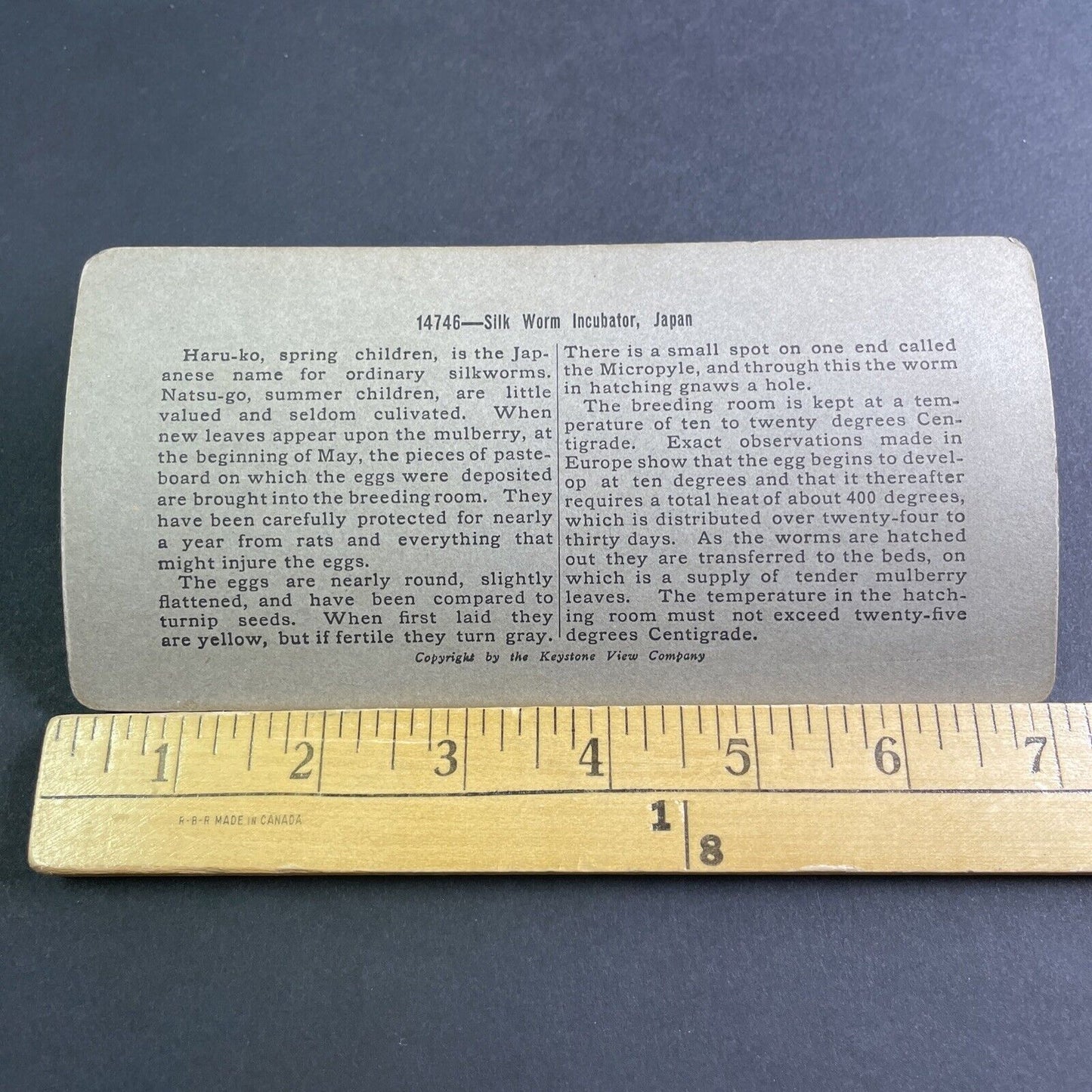 Antique 1904 Early Silk Worm Incubator In Japan Stereoview Photo Card P2172