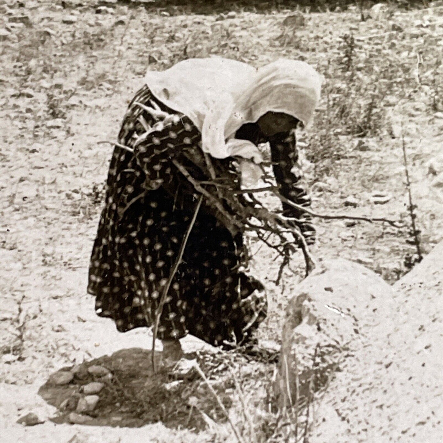 Antique 1905 Woman Gathers Wood Sarafand Lebanon Stereoview Photo Card P1740
