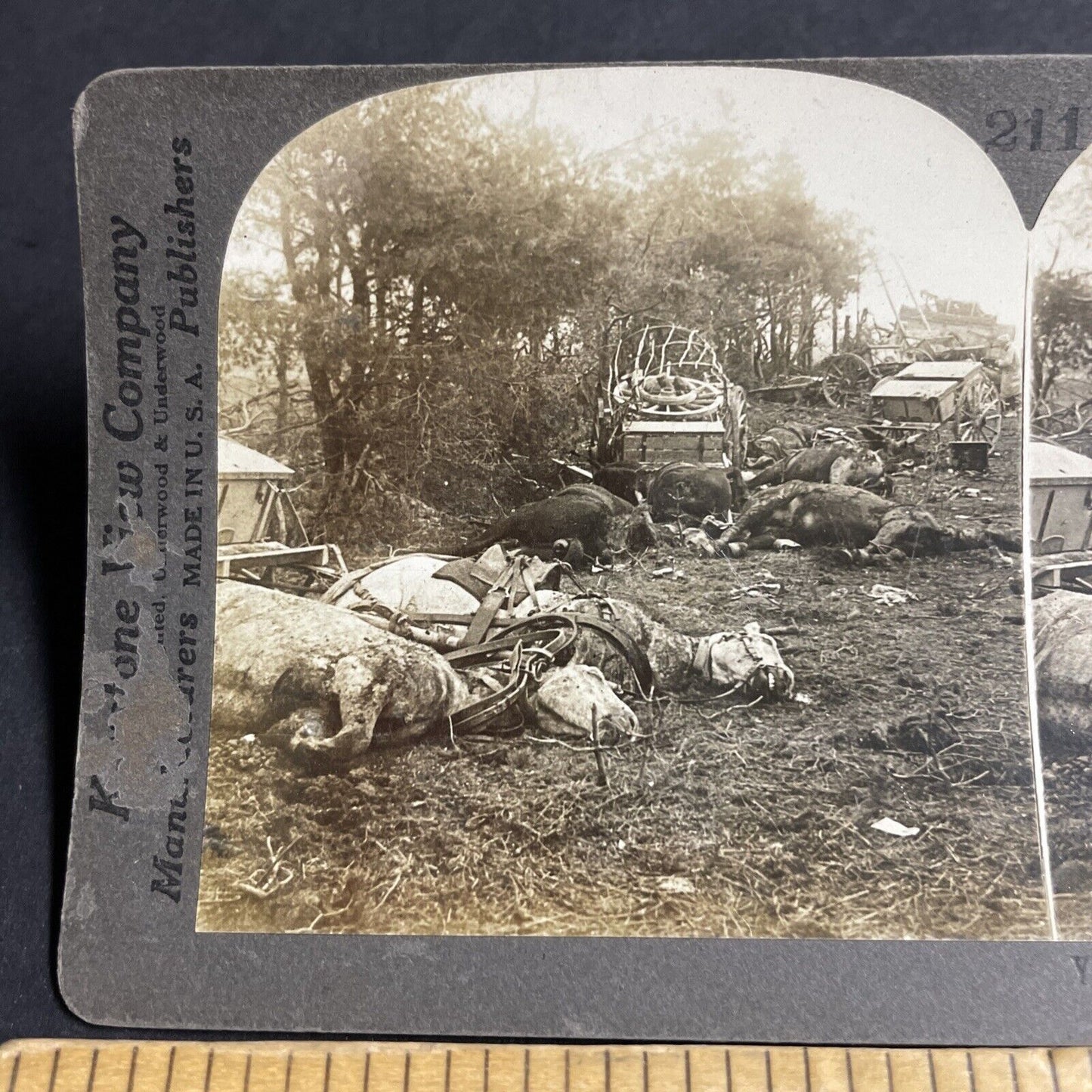 Antique 1916 Germans Bomb US Cavalry WW1 Dead Horses Stereoview Photo Card P4353