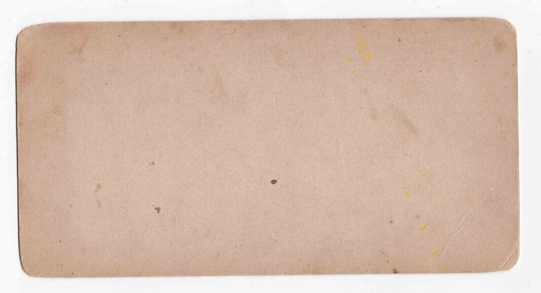 Antique 1850s Wachau Valley Danube Austria Hand-Colored Tinted Stereo Card P219