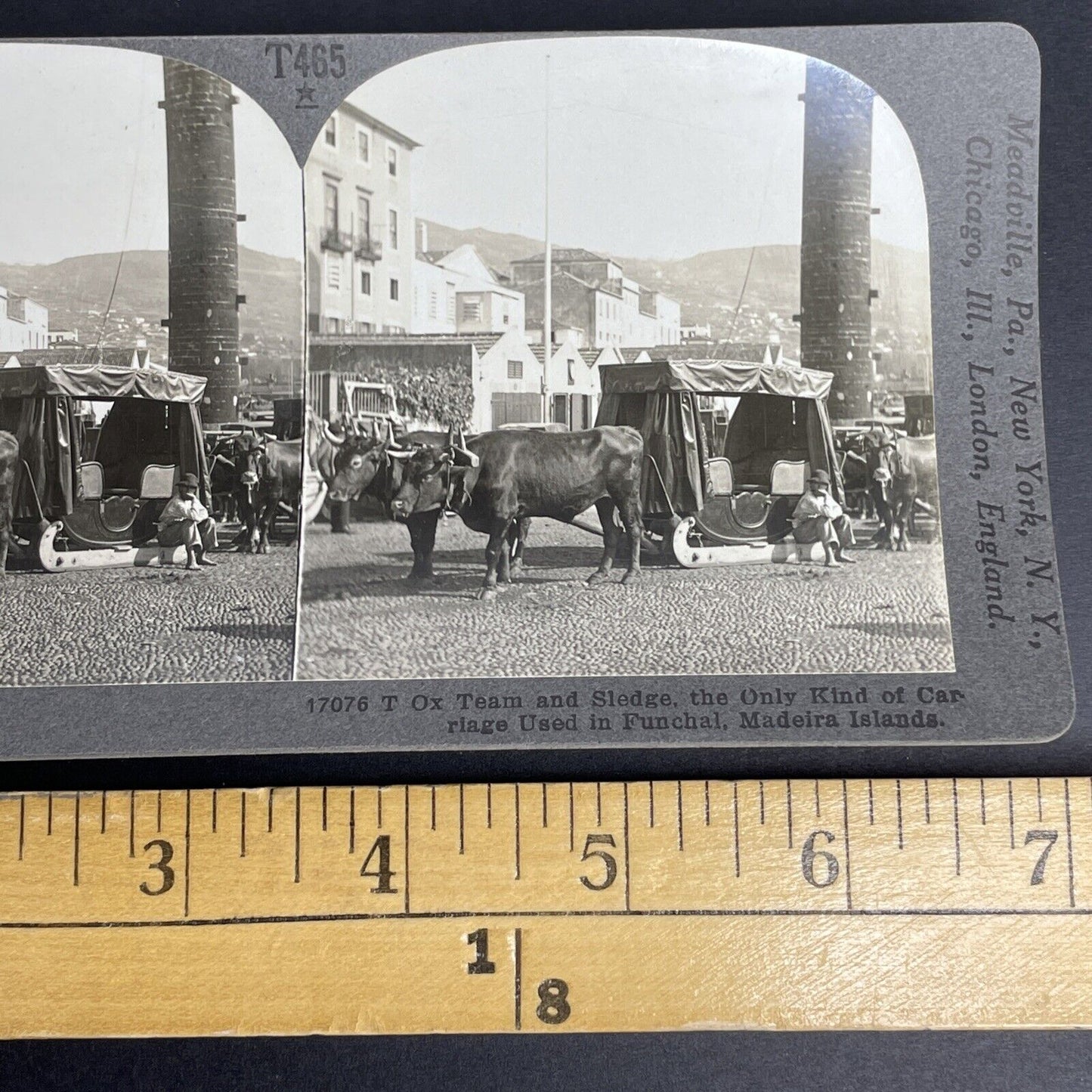 Antique 1905 Oxen Taxi Funchal Madeira Portugal Stereoview Photo Card P912