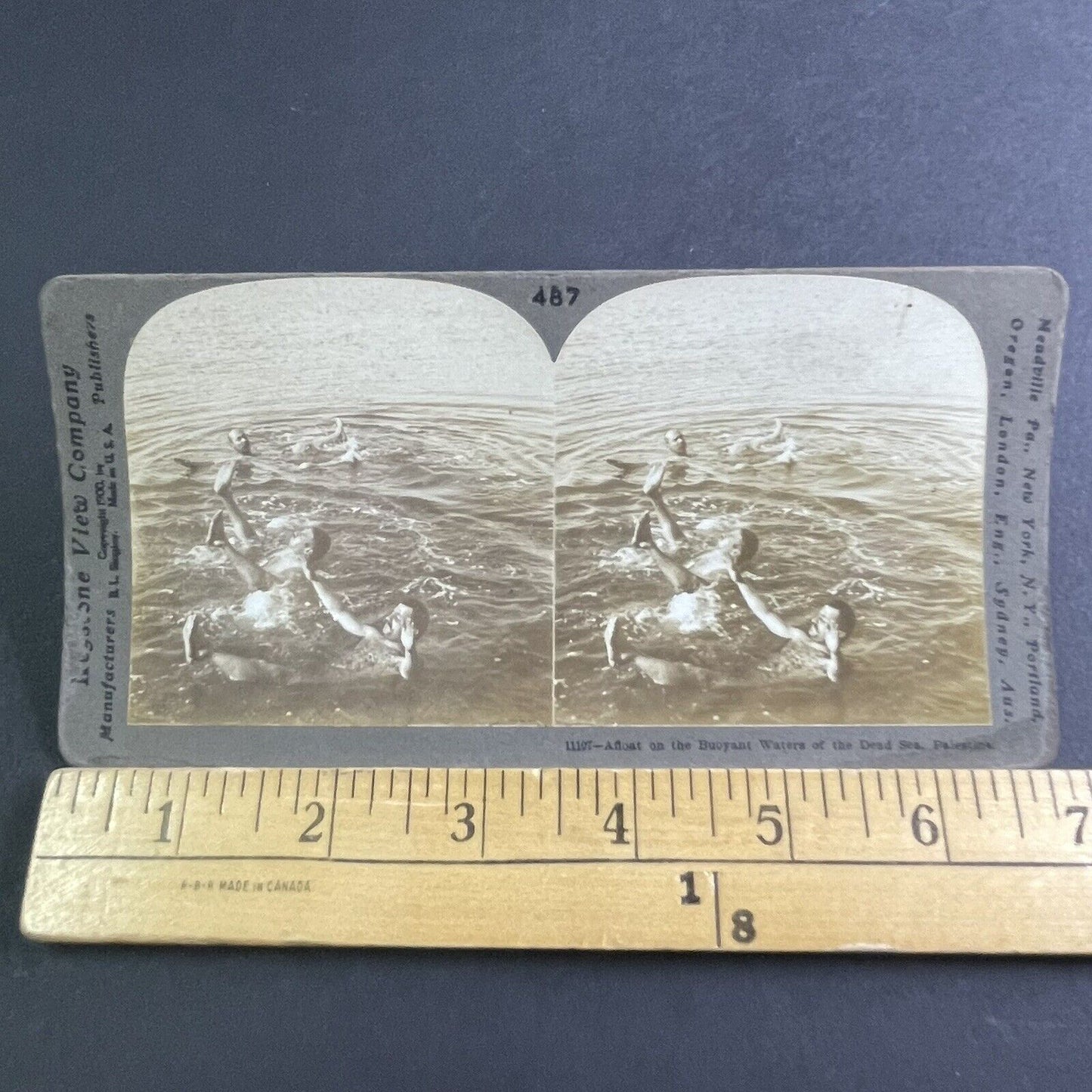 Antique 1900 Skinny Dipping In The Dead Sea Stereoview Photo Card P2223
