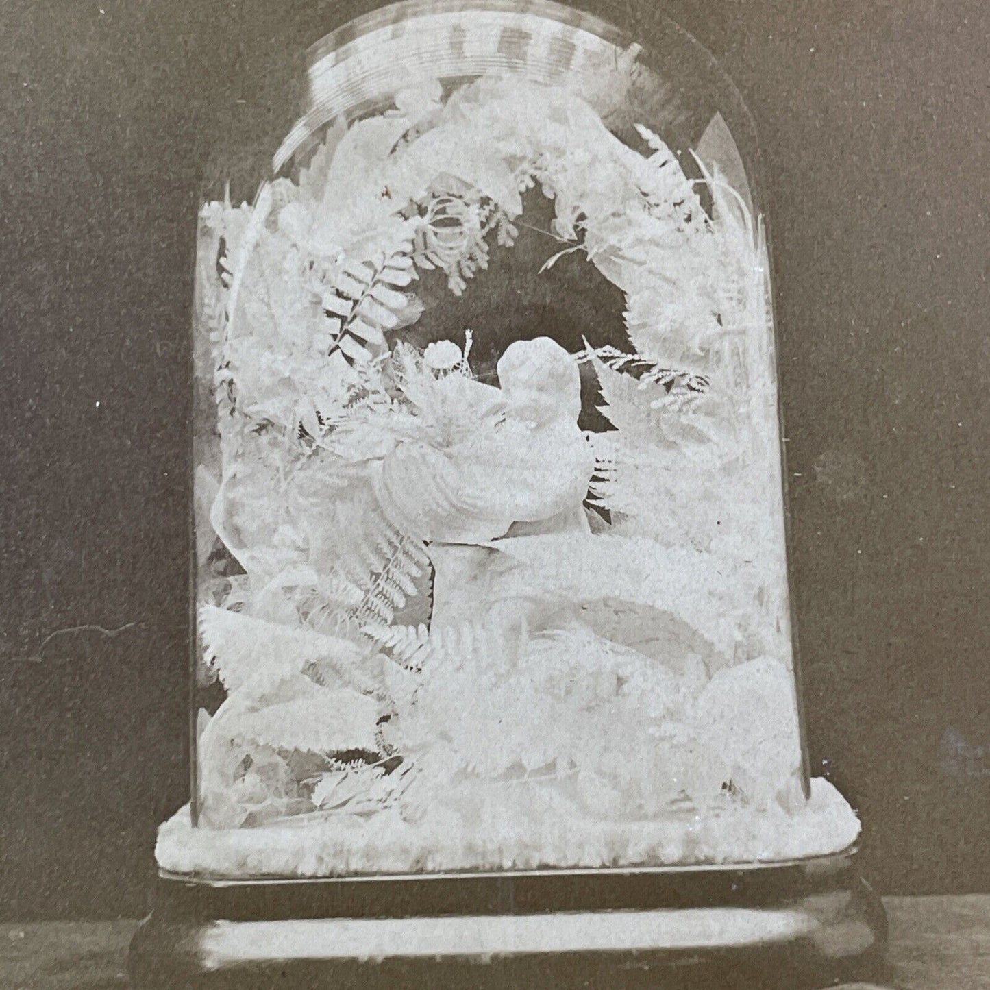 Funeral Arrangement Casket Flowers For A Girl Stereoview Antique c1870 X3702