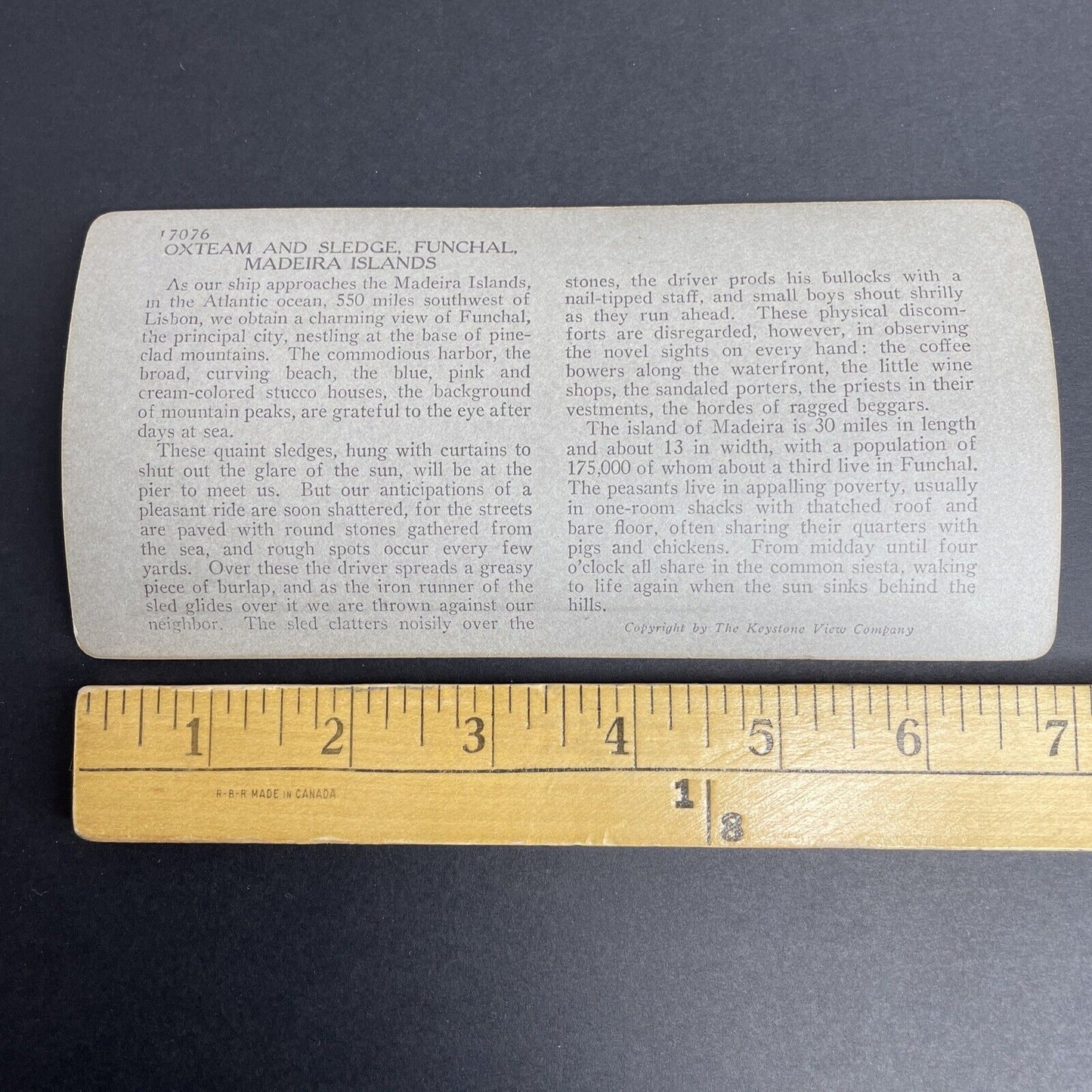 Antique 1905 Oxen Taxi Funchal Madeira Portugal Stereoview Photo Card P912