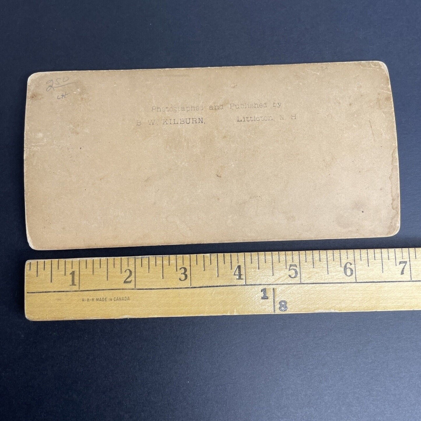 Antique 1891 The Lion House Philadelphia PA Stereoview Photo Card PC821