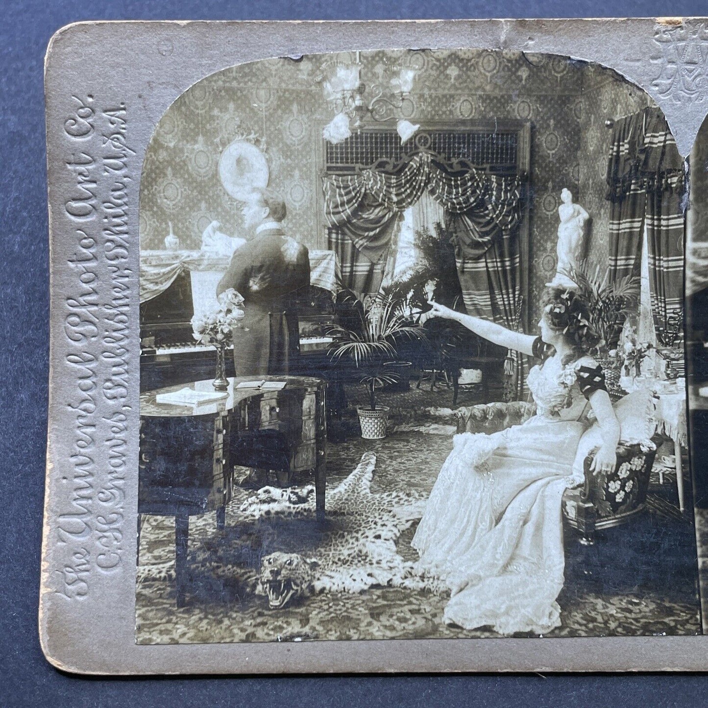 Antique 1901 Cheetah Skin Rug In Piano Room Stereoview Photo Card P2574