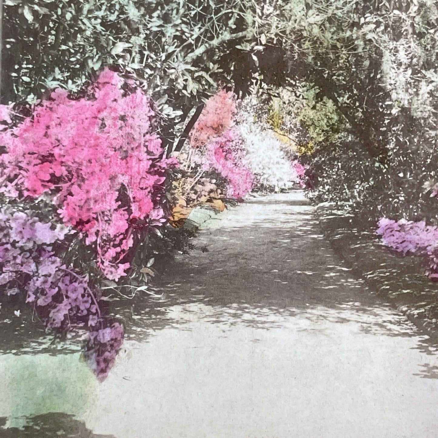 Entrance of John Grimke Drayton Stereoview Charleston South Carolina c1870 Y1327