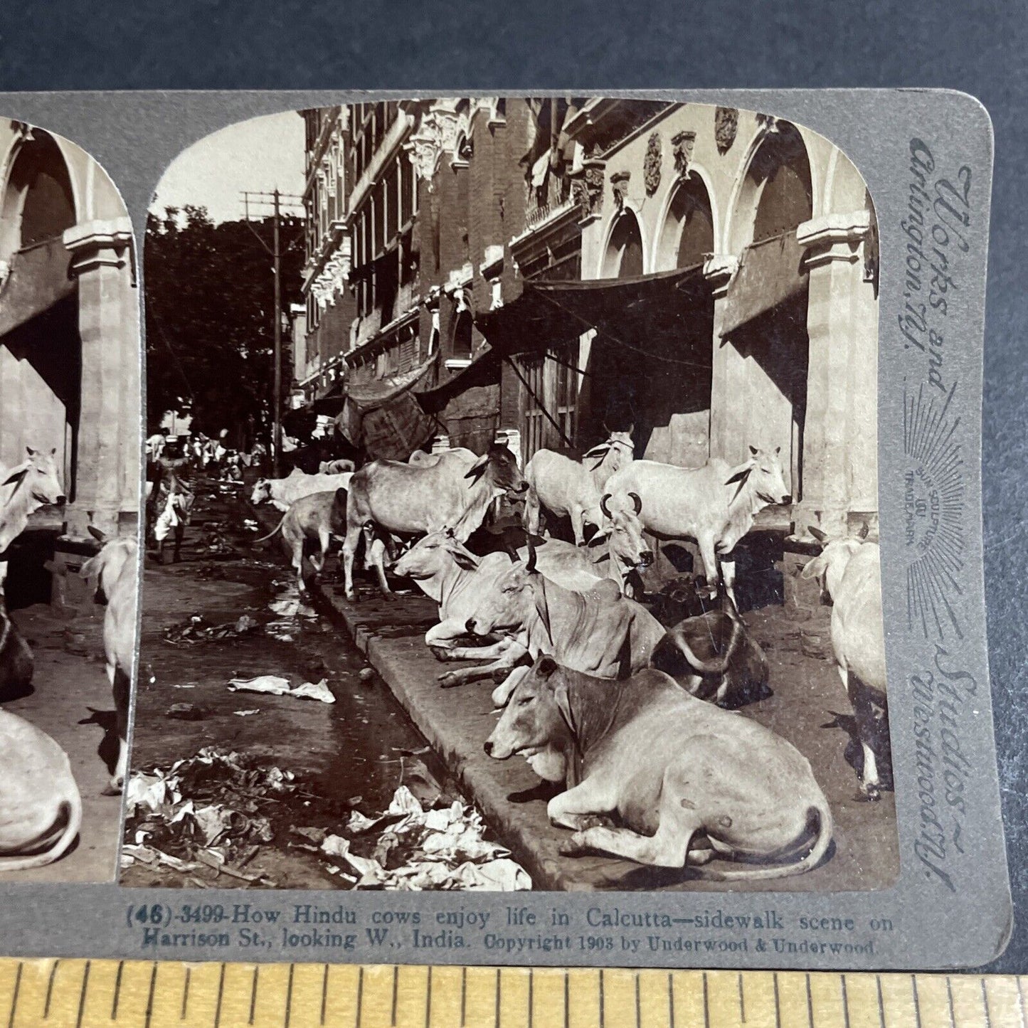 Antique 1903 Extreme Poverty In Calcutta India Stereoview Photo Card P4452