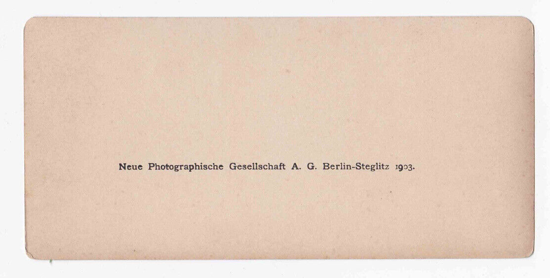 Antique 1903 Monument & Hotel, Rosstrappe, Harz, Germany Stereo Card P347