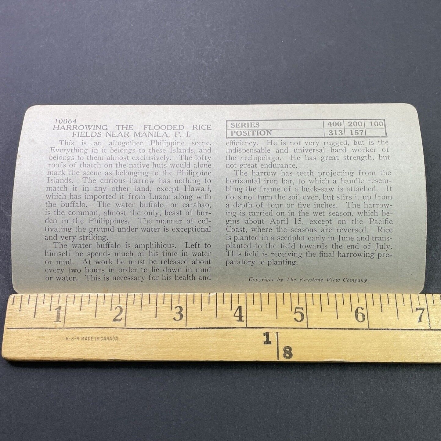 Antique 1910s Plowing Rice Fields Manila Philippines Stereoview Photo Card P3148