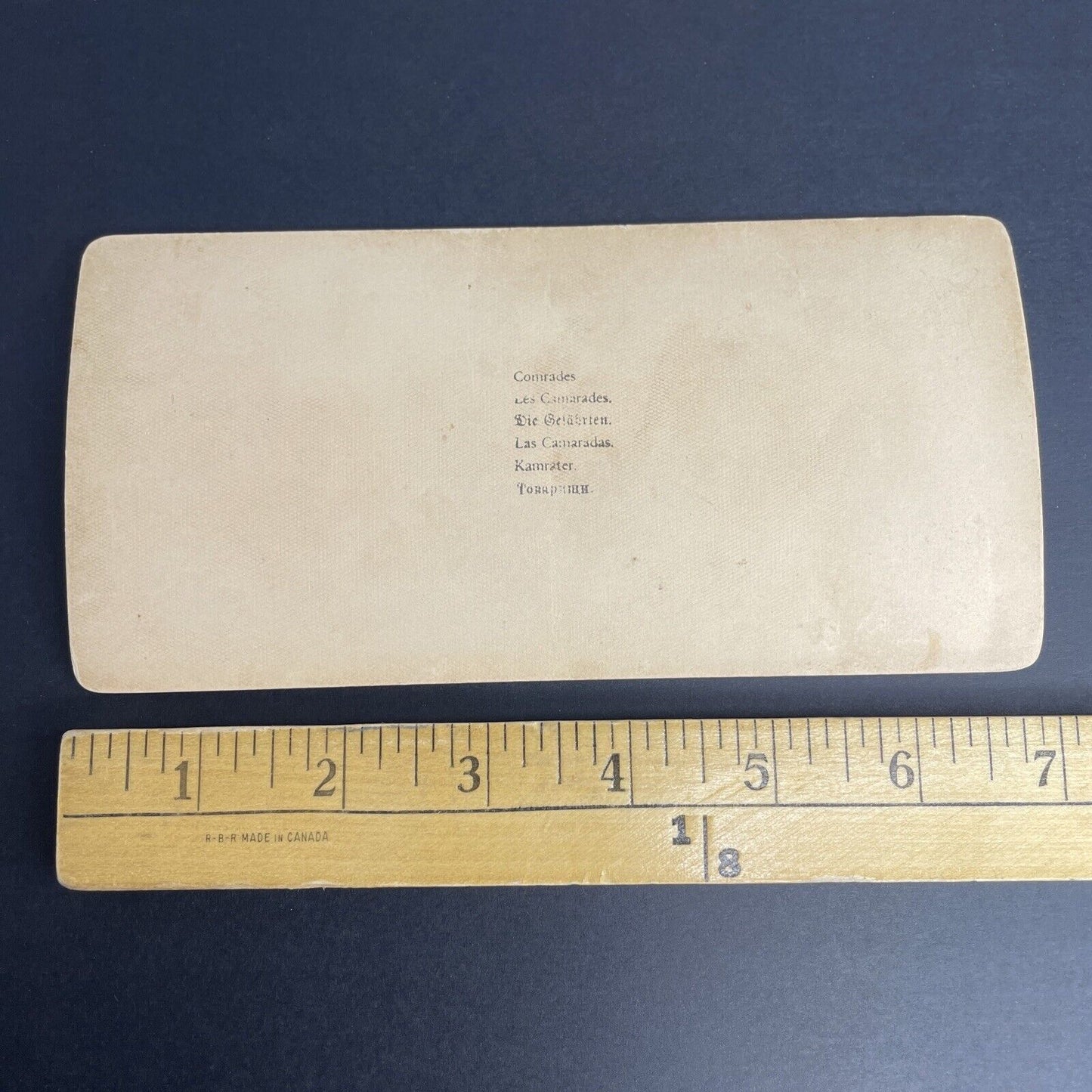 Antique 1894 Child With Two Donkeys In Desert Stereoview Photo Card PC794