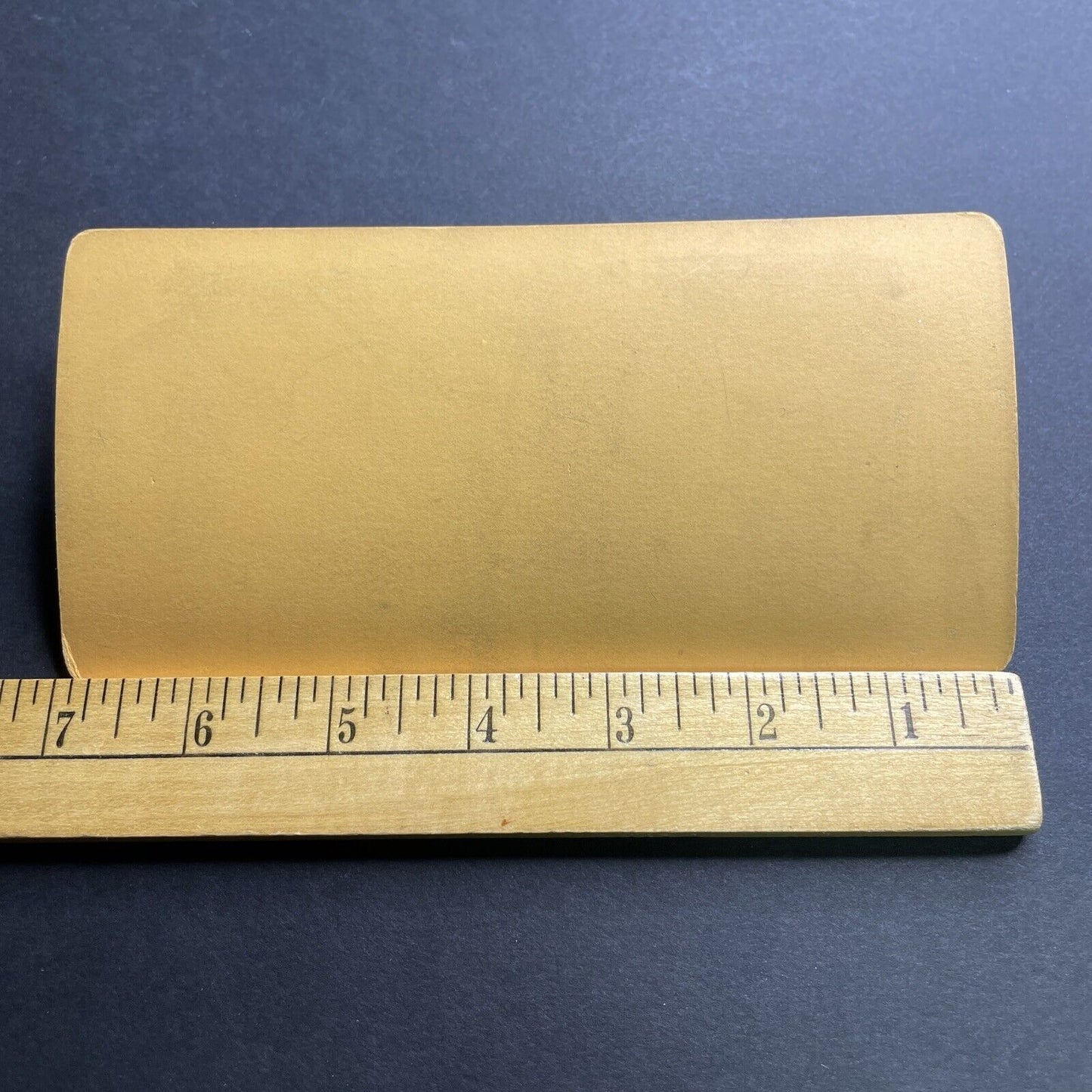 Antique 1867 Huge Redwood Tree Fish Camp California Stereoview Photo Card P2088