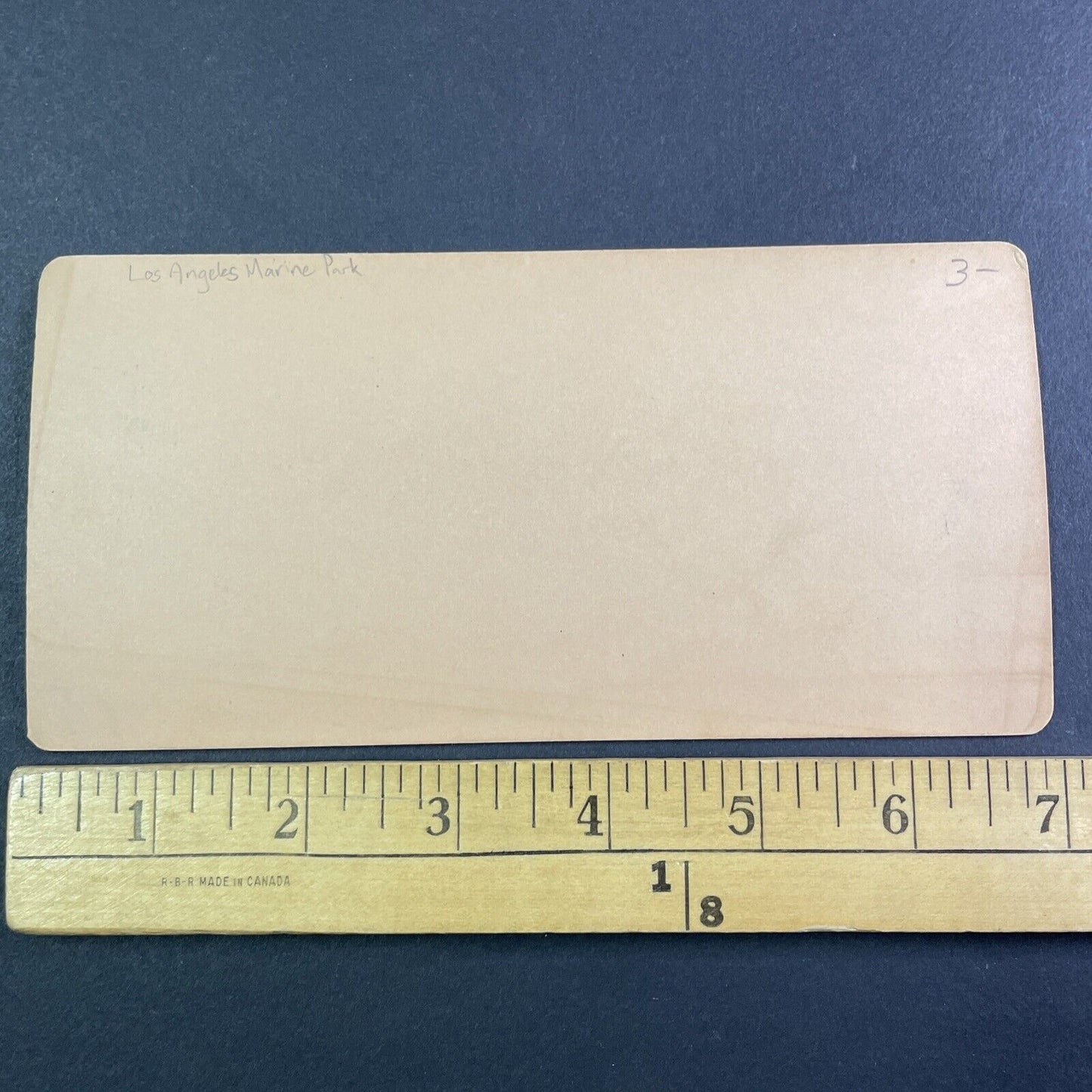 Marine Park Beach in California Stereoview *Location Unverified* c1890 Y1325