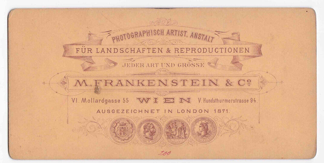 Antique 1880s Ringstrasse Am Karnthnerring Karntner Ring Vienna Photo Card P066