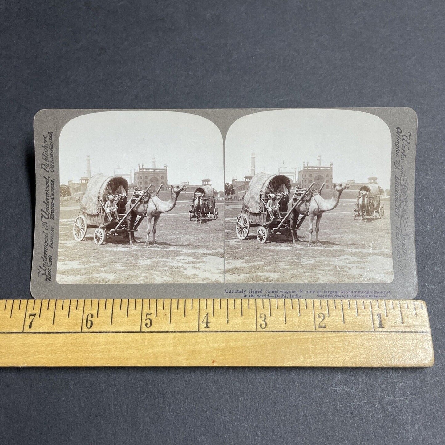 Antique 1903 Camel Pulls A Covered Wagon In India Stereoview Photo Card P5656