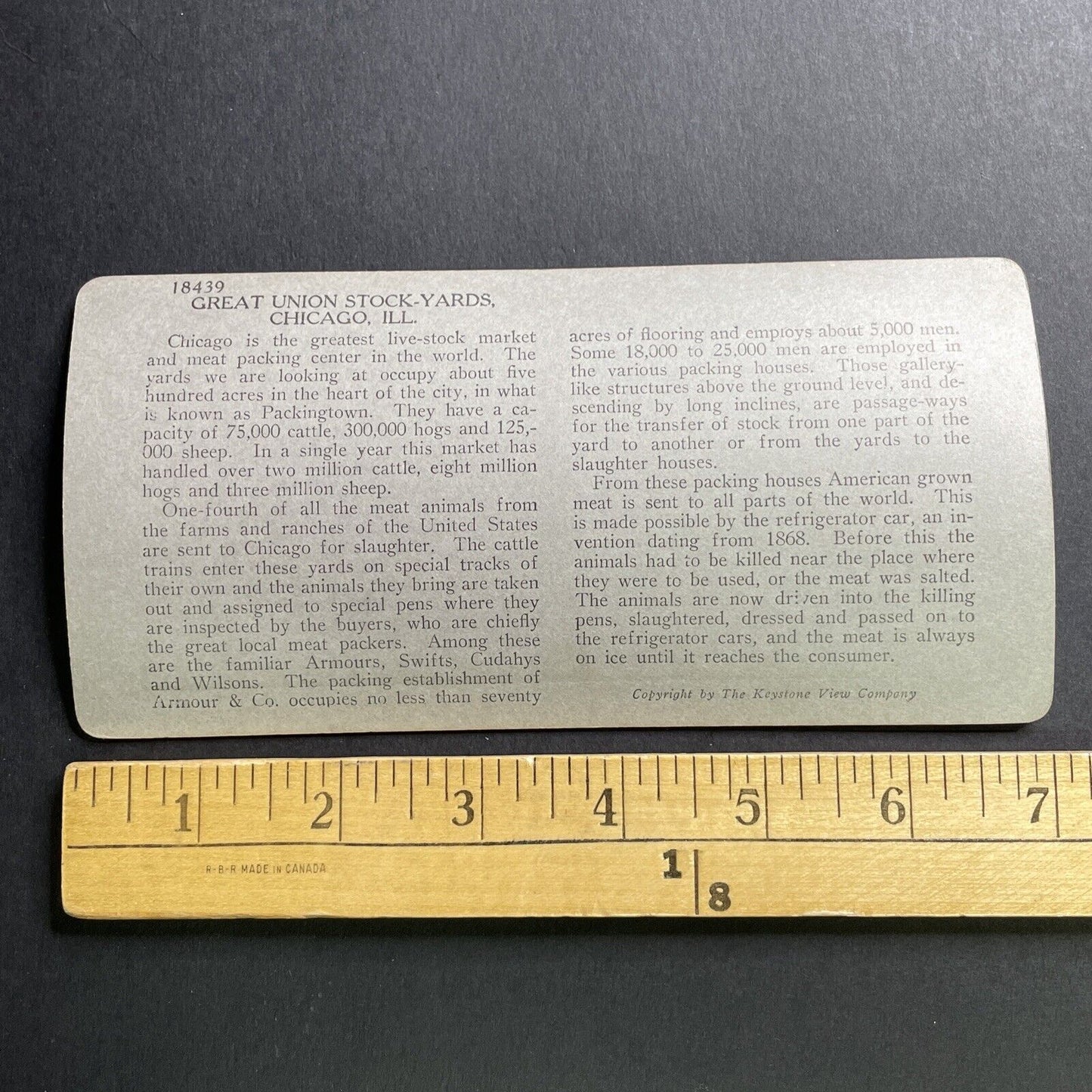 Antique 1920s Chicago Cattle Stockyard Illinois Stereoview Photo Card P1618