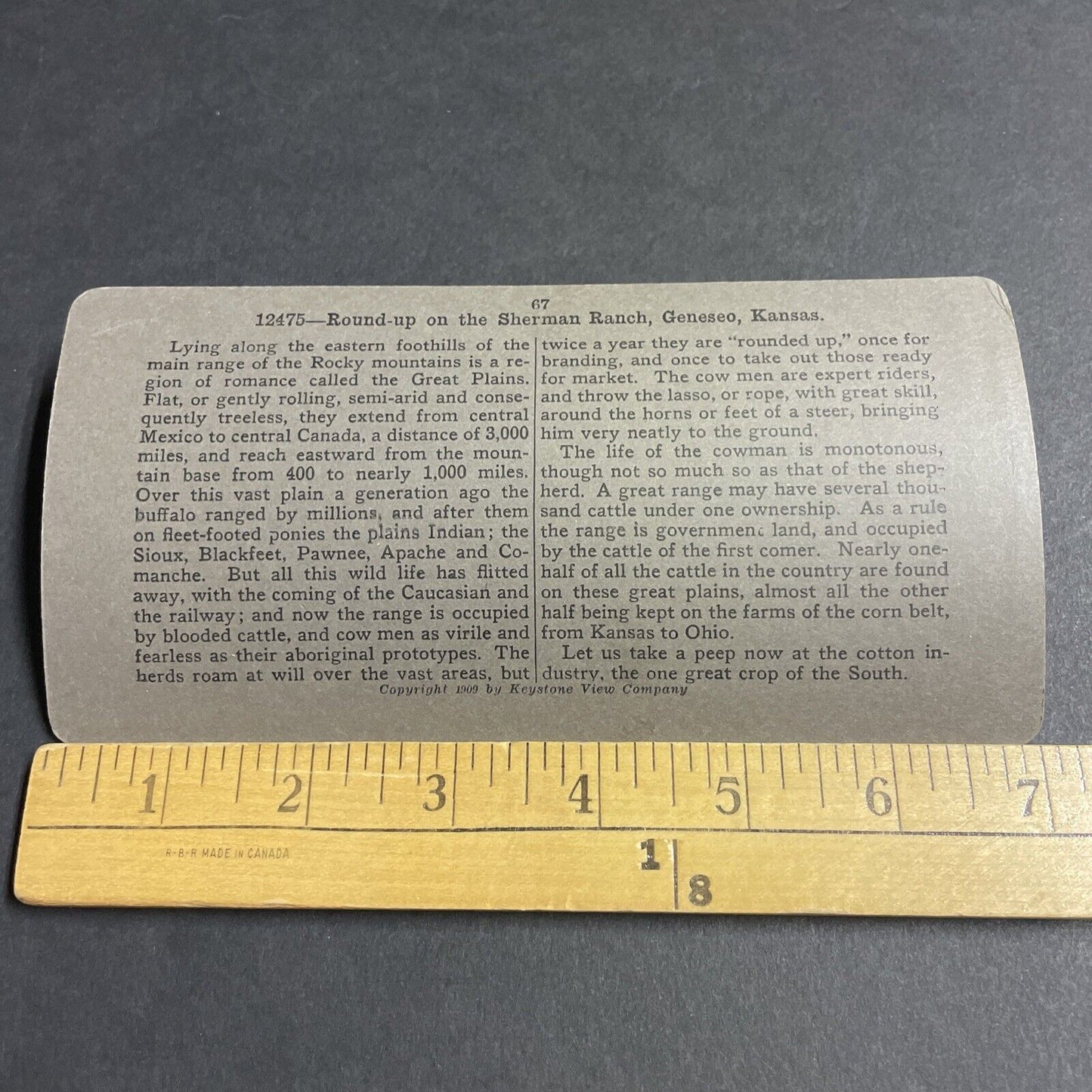 Antique 1909 A Cowboy And Lasso In Kansas Stereoview Photo Card P4887