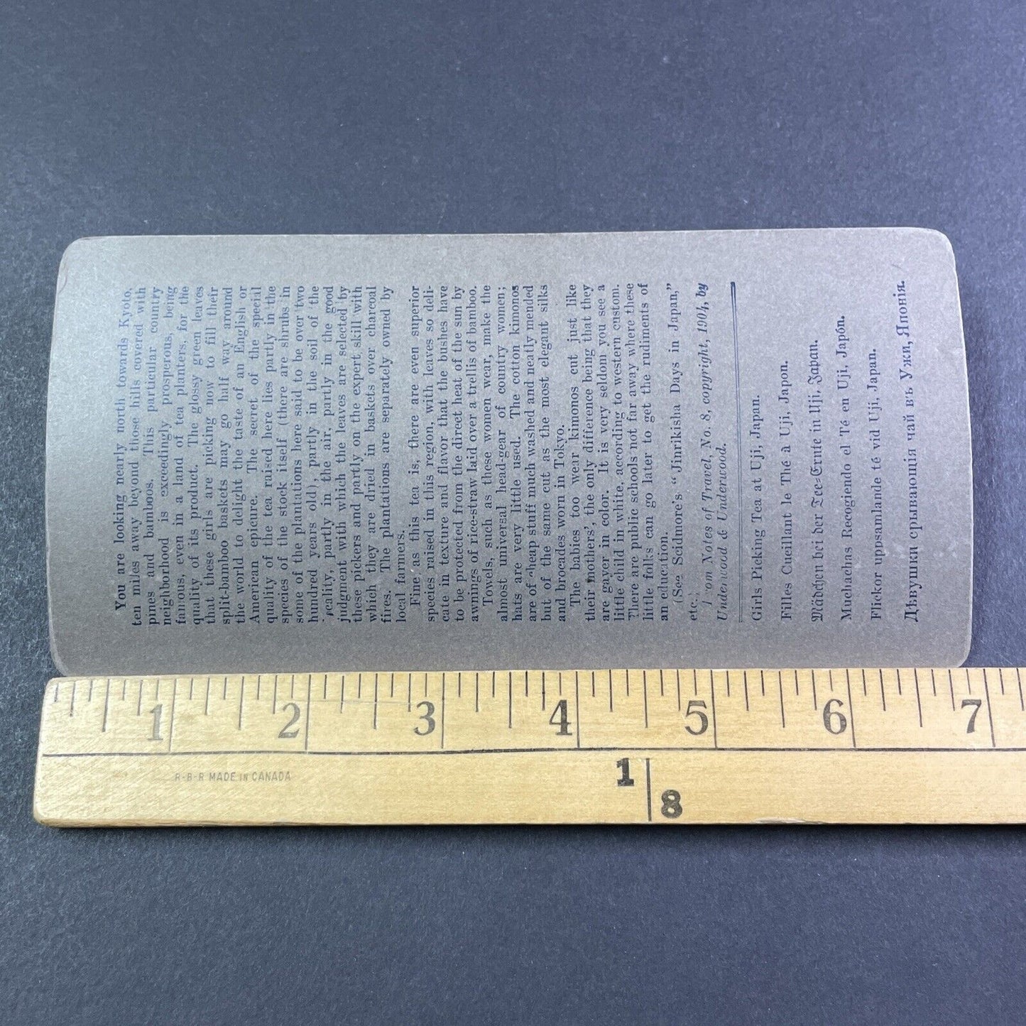 Girl Picking Tea Leaves in Uji Japan Stereoview Antique c1904 Y2786