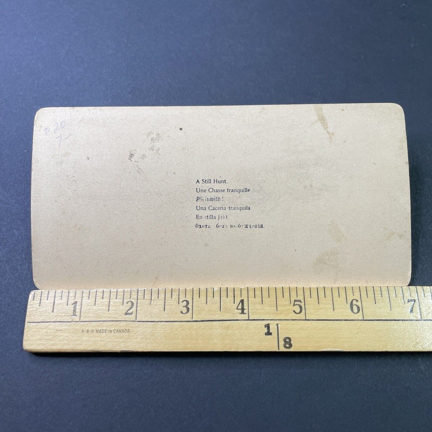 Antique 1895 Grandparents Search Kids For Head Lice Stereoview Photo Card P2830