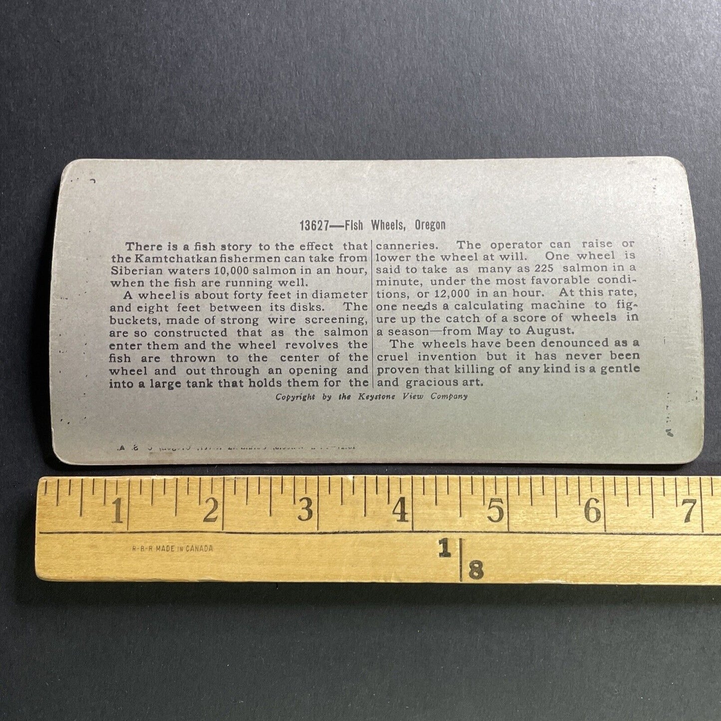 Antique 1904 Fish Wheel Columbia River Oregon Stereoview Photo Card P1609