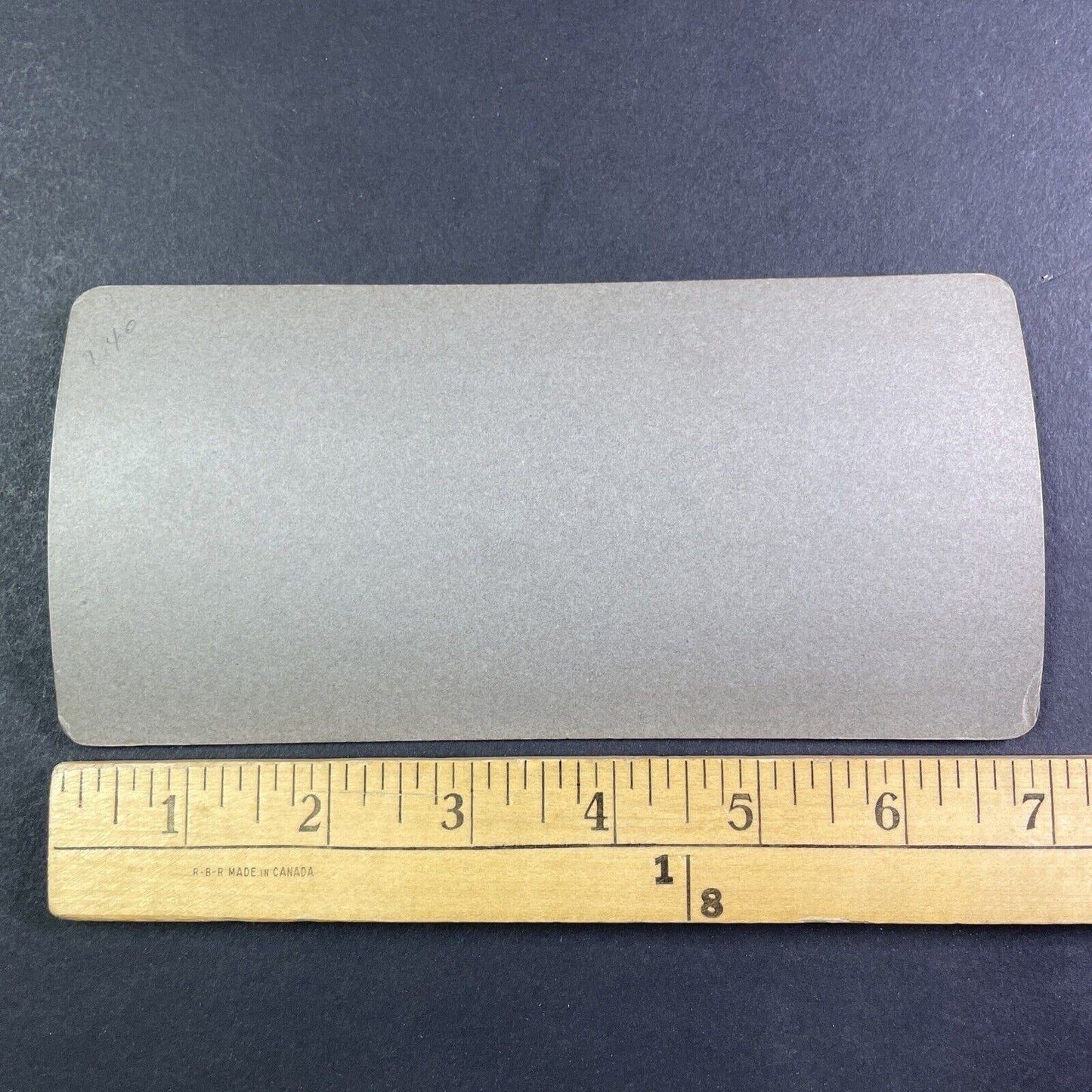 Holstein Cow Udder Toronto Exhibition Stereoview Rear View c1909 Y2746