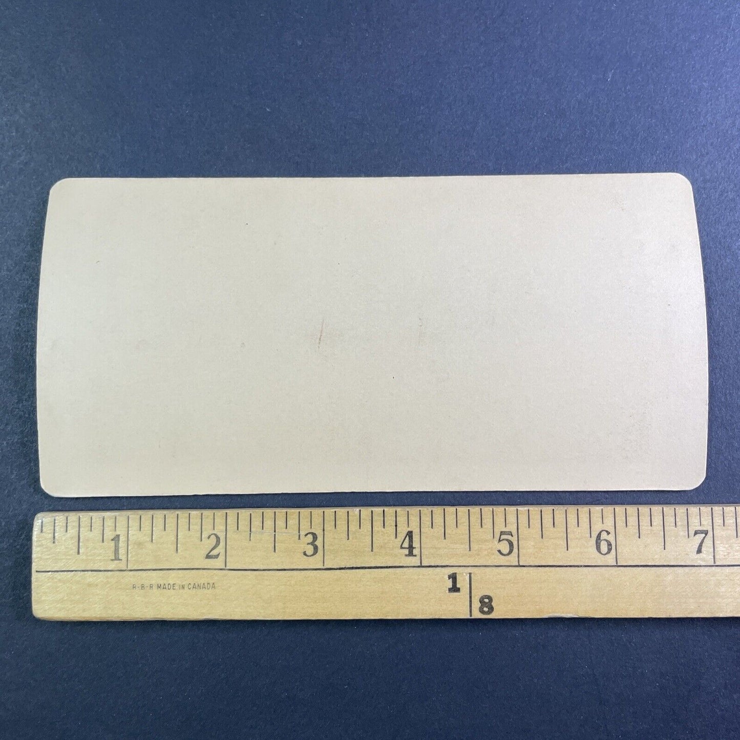 Dog Stuck on Niagara Falls River Ice Bridge Stereoview Antique c1880 Y2572