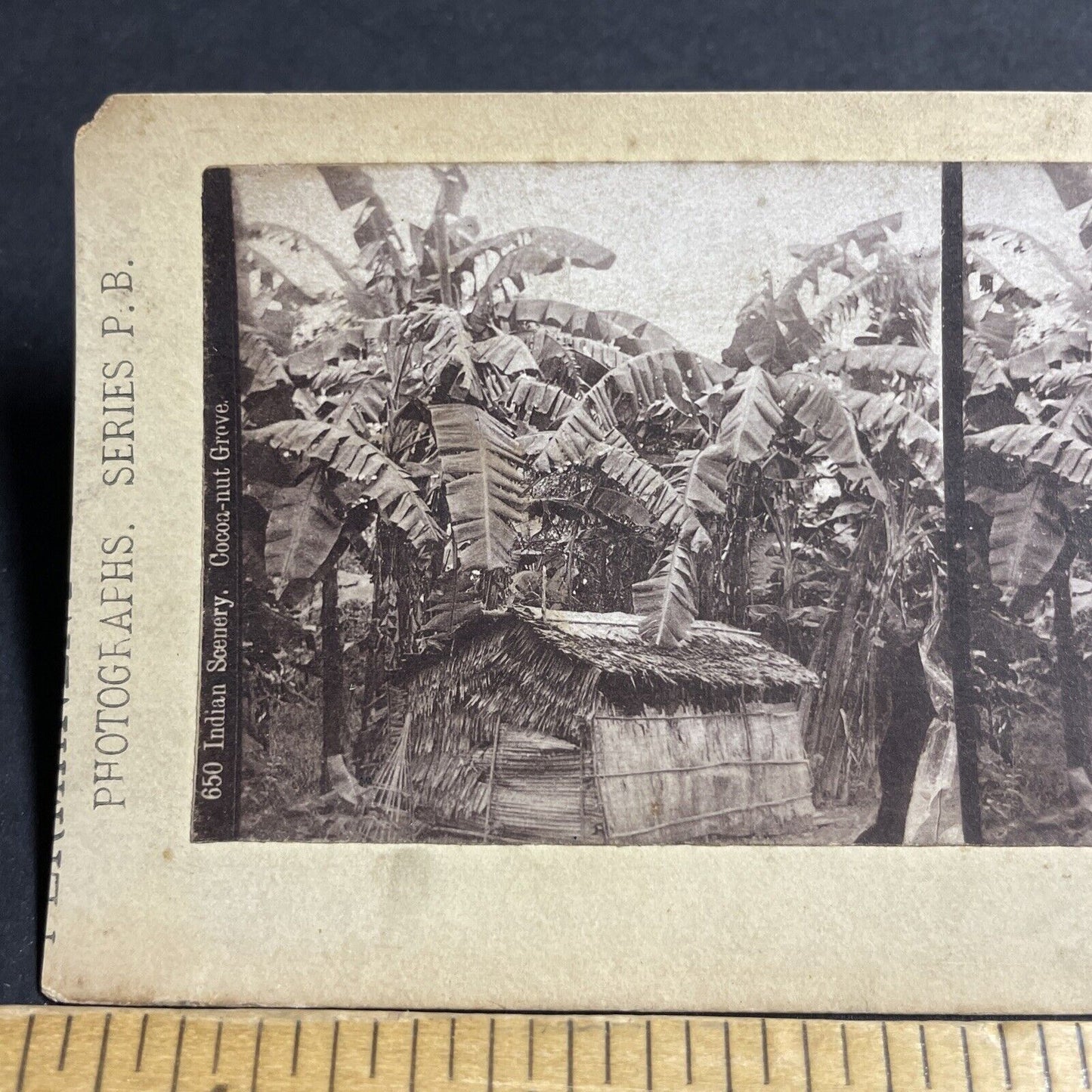 Antique 1870s Newly Contacted Tribes Tokelau NZ Stereoview Photo Card P4376