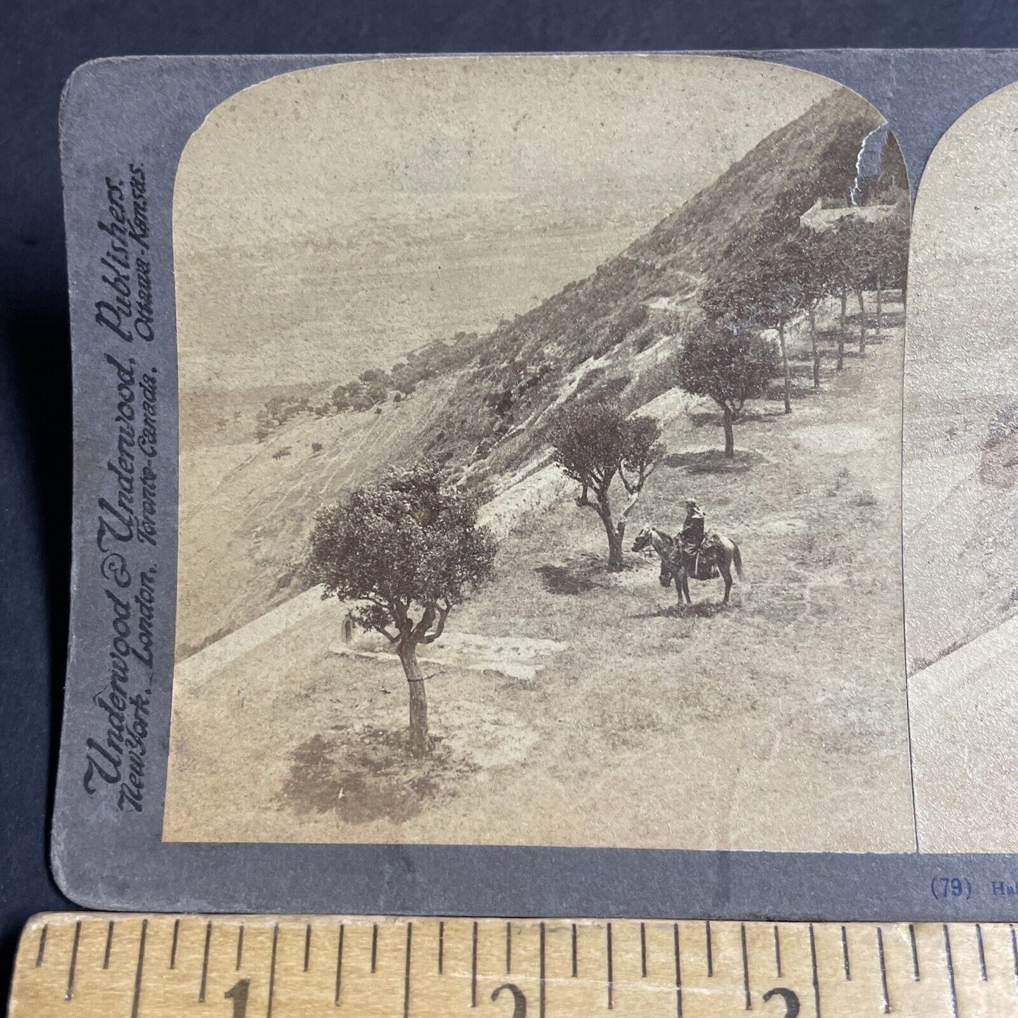Antique 1900 Arab Desert Warrior On Horseback Stereoview Photo Card P4207