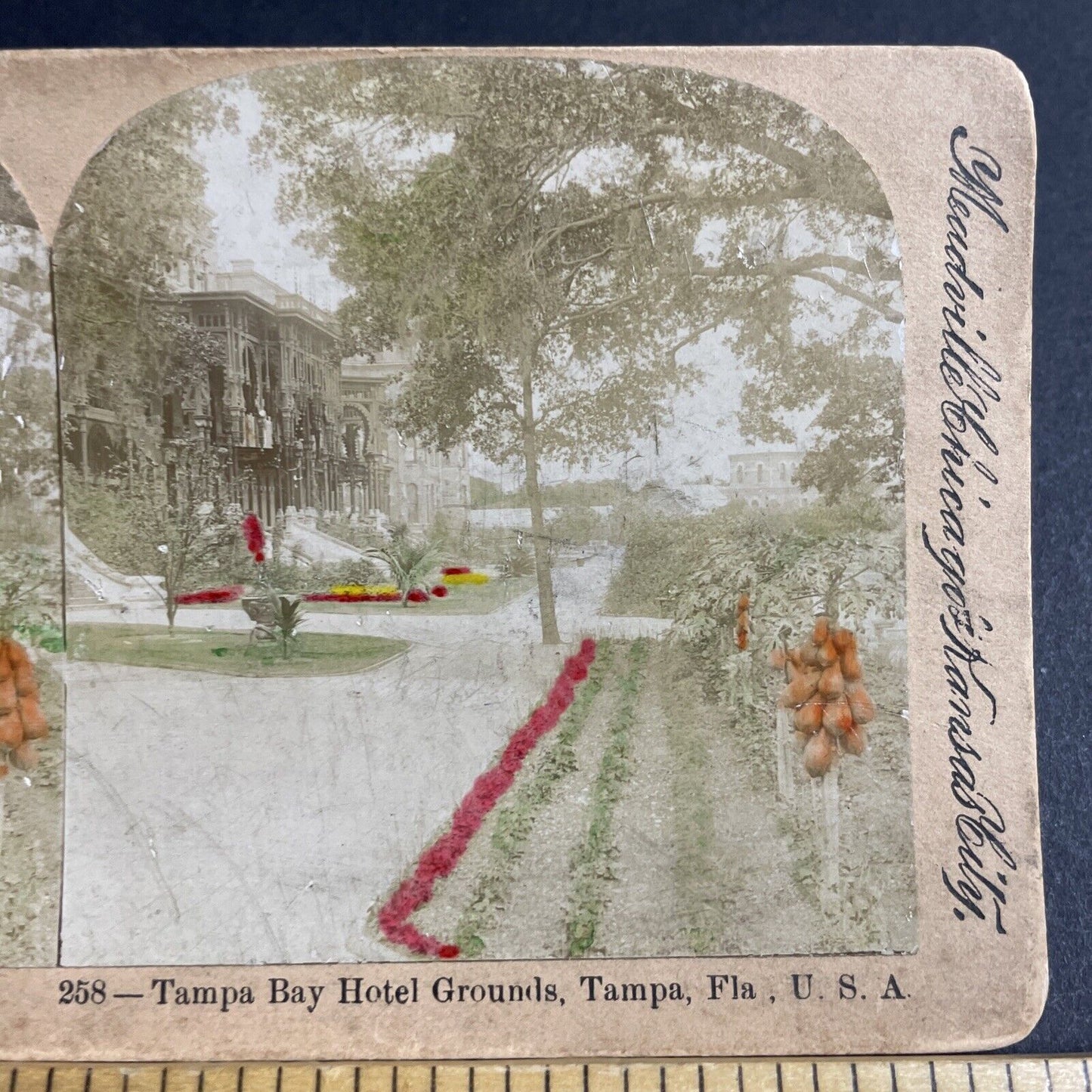 Antique 1880s Tampa Bay Hotel Florida Tampa USA Stereoview Photo Card P4876