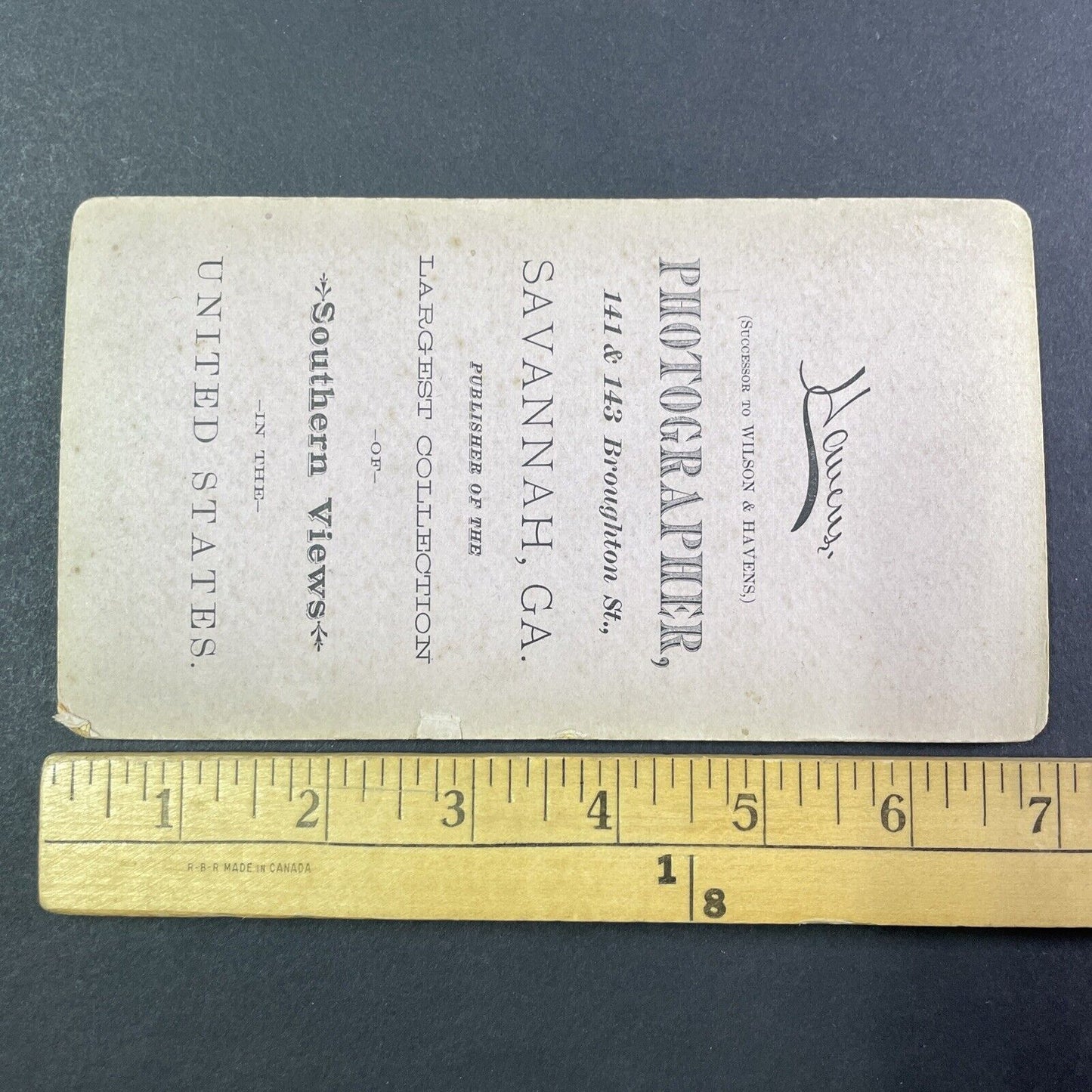 Spanish Bayonet in Blossom Stereoview O. Havens Antique c1878 Y1759