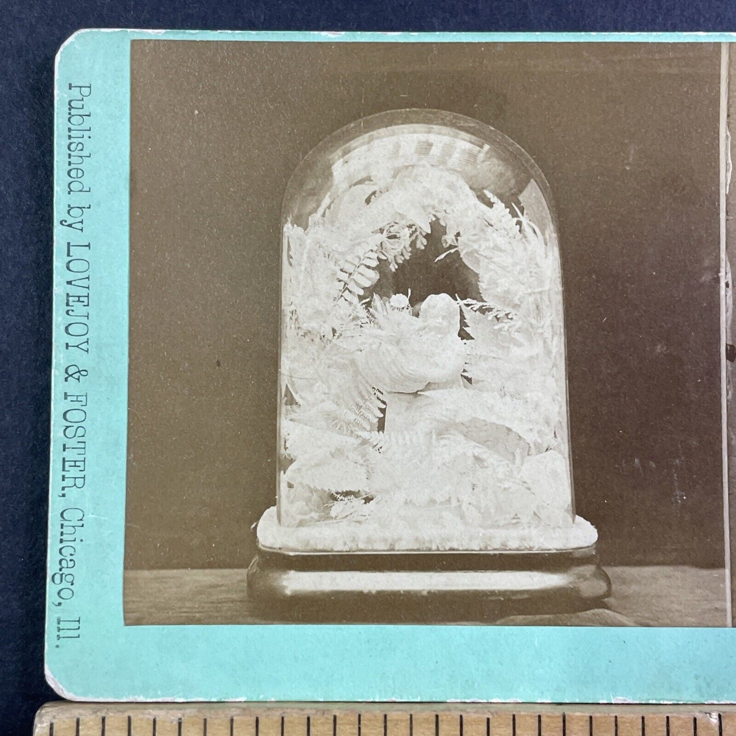 Funeral Arrangement Casket Flowers For A Girl Stereoview Antique c1870 X3702