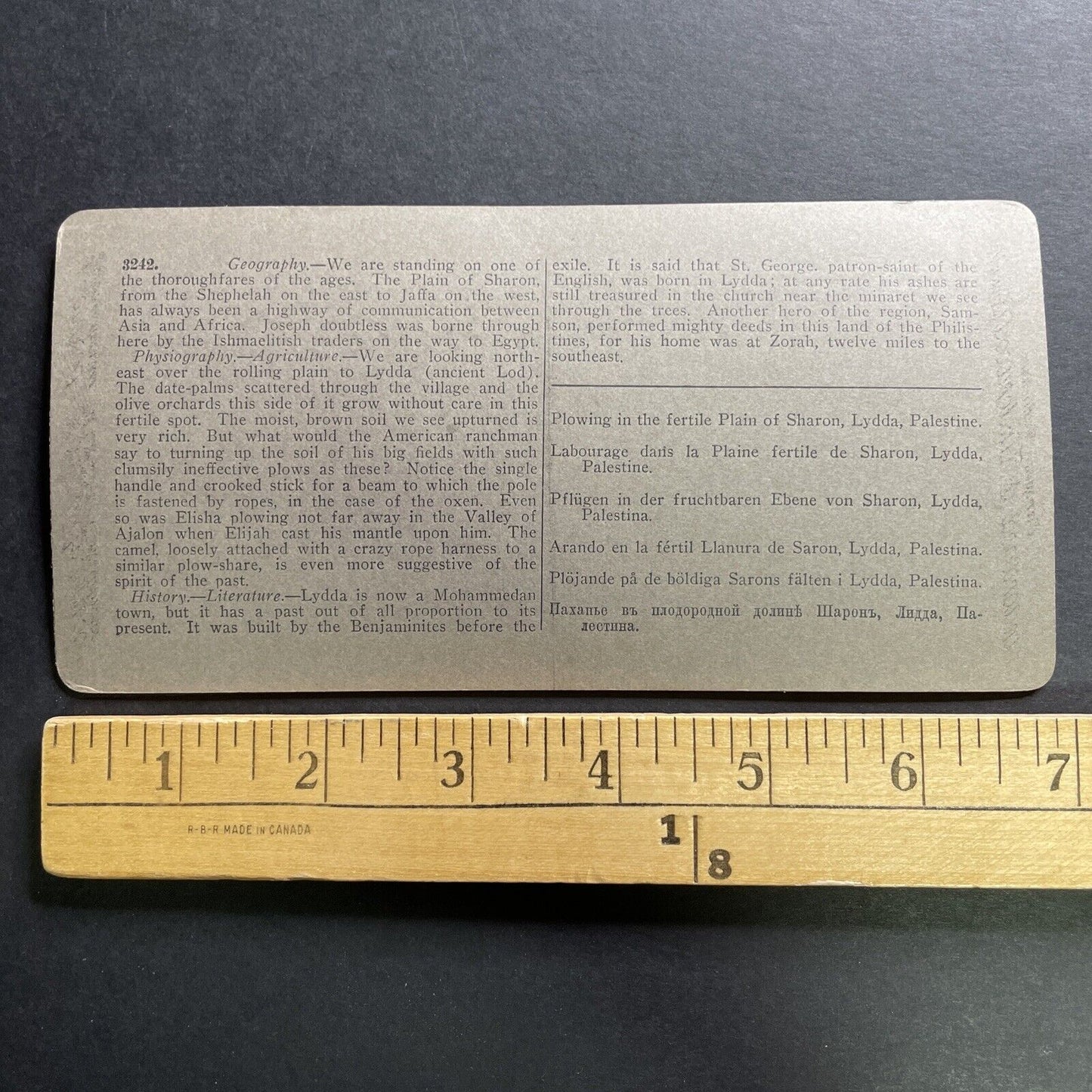 Antique 1904 Farming In Lydda Lod Israel Palestine Stereoview Photo Card P1473