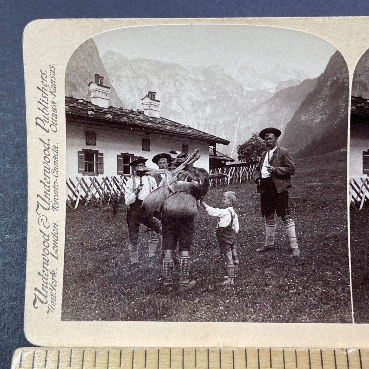 Antique 1898 Man Carries A Dead Deer Uphill Stereoview Photo Card V3299