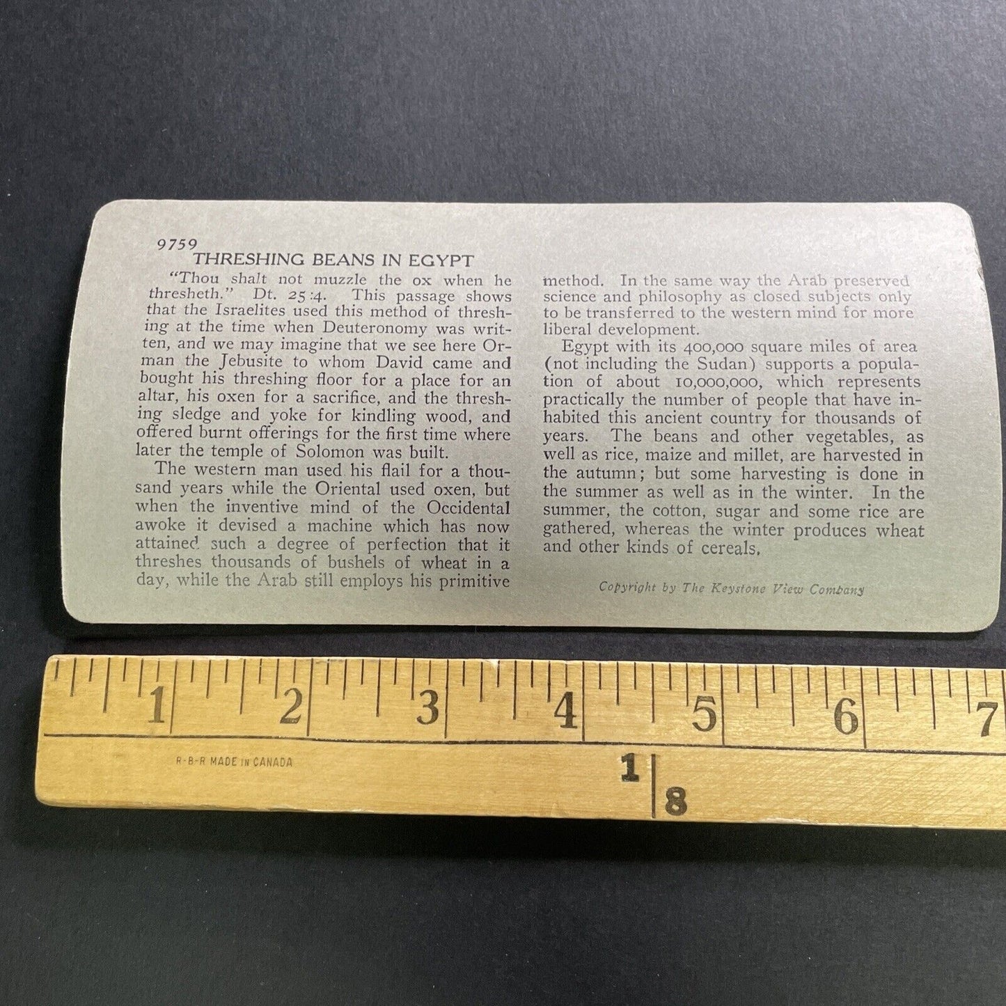 Antique 1918 Ancient Egyptian Wheat Threshing Plough Stereoview Photo Card P1569