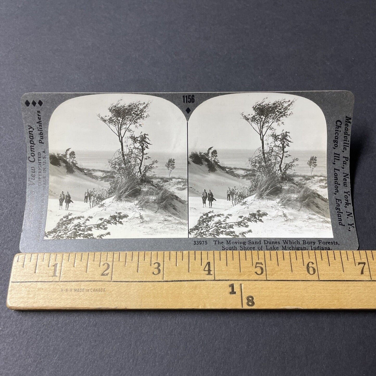 Antique 1920s Dune Acres Indiana Lake Michigan Stereoview Photo Card V2602