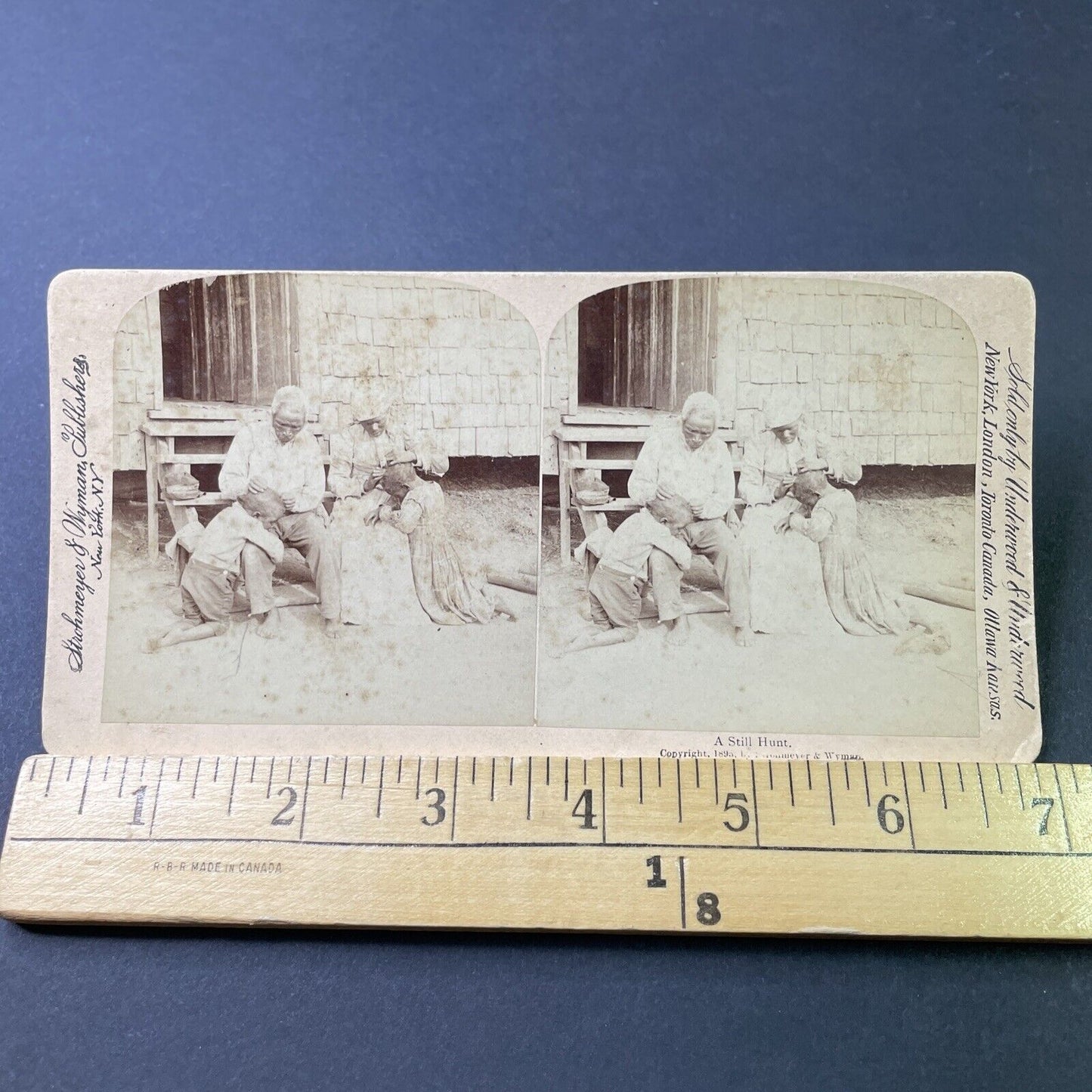 Antique 1895 Grandparents Search Kids For Head Lice Stereoview Photo Card P2830