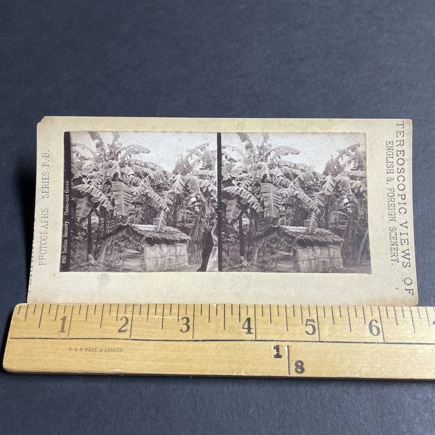 Antique 1870s Newly Contacted Tribes Tokelau NZ Stereoview Photo Card P4376