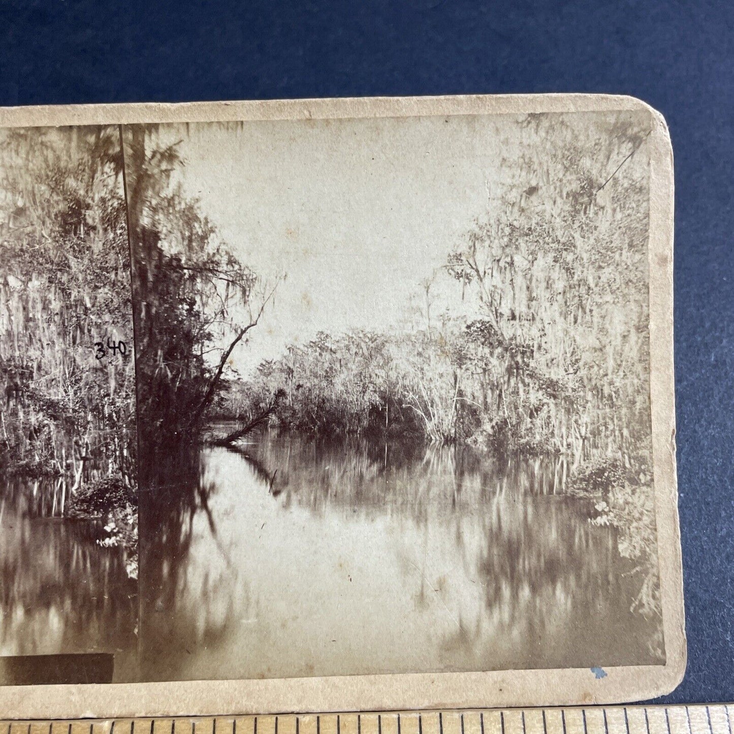Antique 1870s Ocklawaha River Florida Stereoview Photo Card P4874