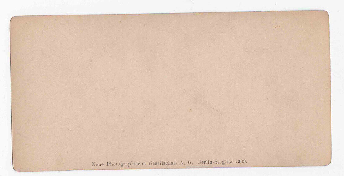 Antique 1903 Katz Castle Burg Katz St. Goarshausen Germany Stereo Card P335