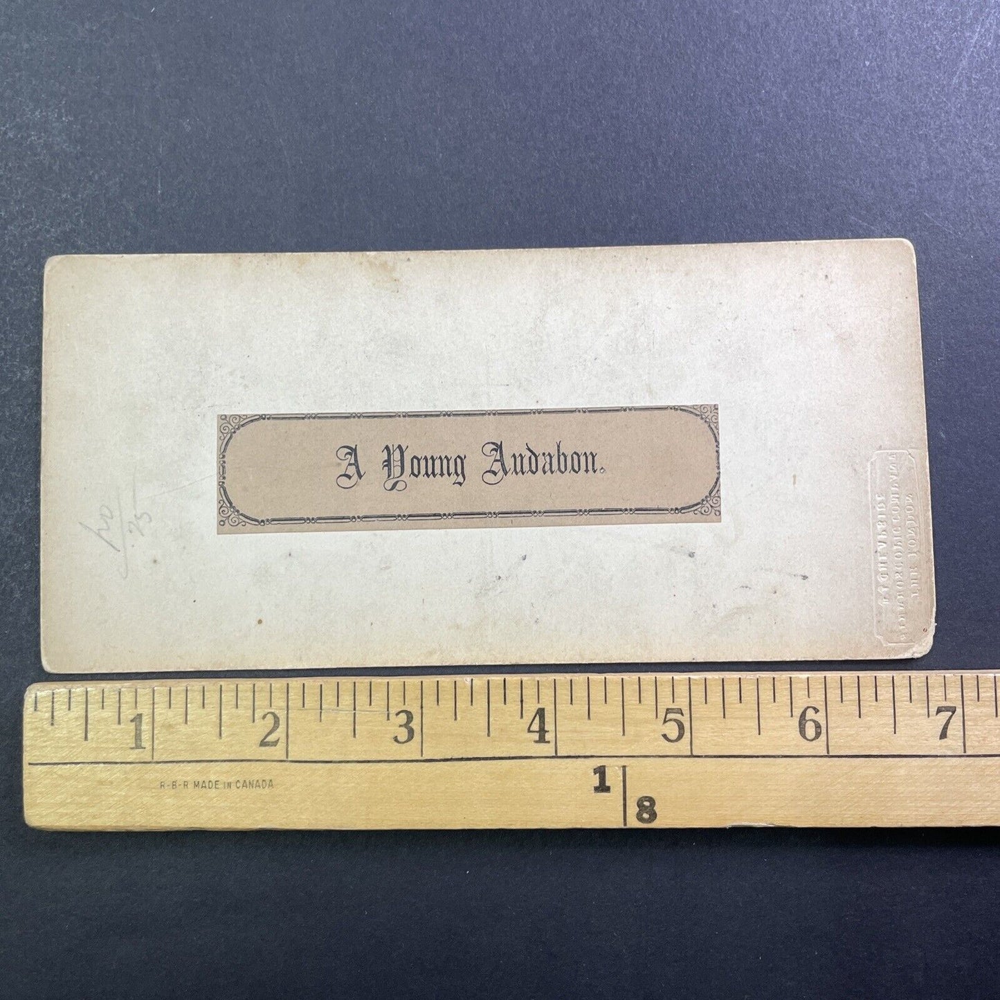 A Young Birdwatcher Stereoview Cheapside London Antique c1850s Y008